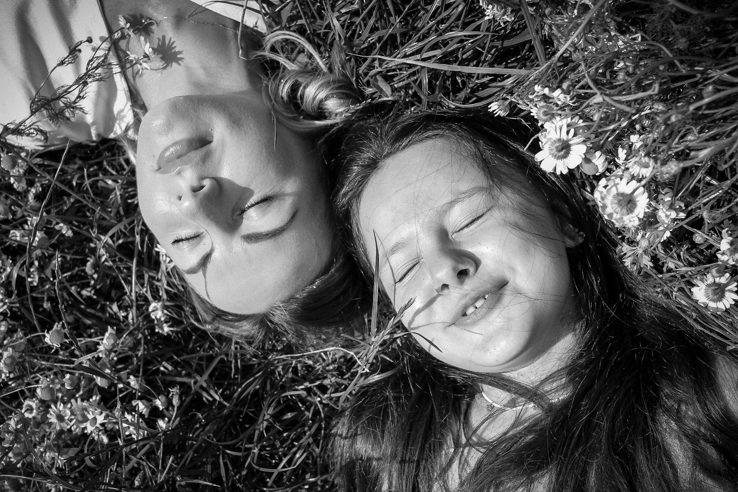 Летний парк и ромашки. Коммерческий фотограф. Ростов-на-Дону. Дарья Константинова