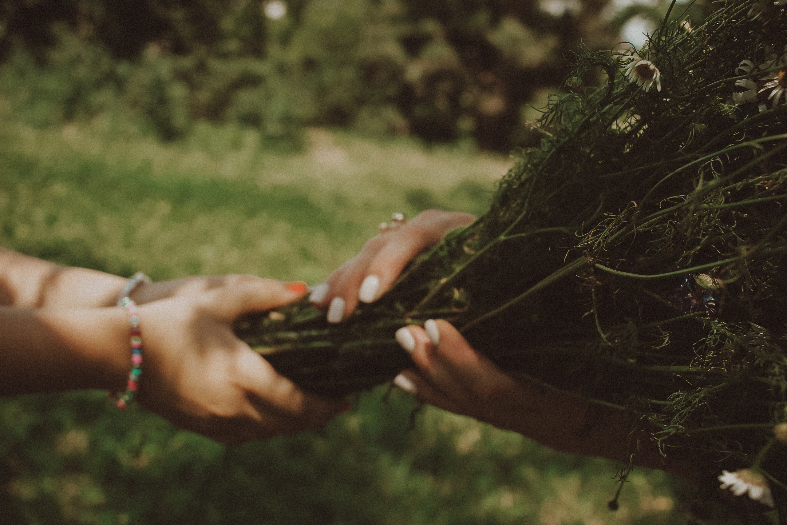 Летний парк и ромашки. Коммерческий фотограф. Ростов-на-Дону. Дарья Константинова