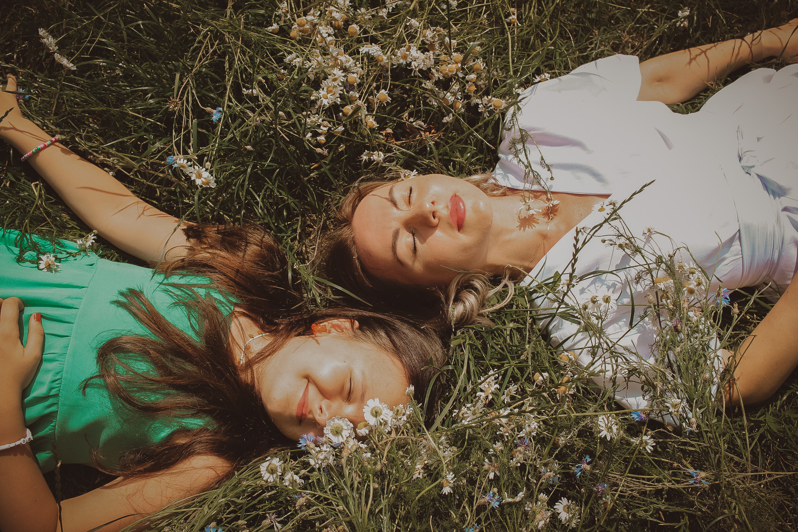 Летний парк и ромашки. Коммерческий фотограф. Ростов-на-Дону. Дарья Константинова