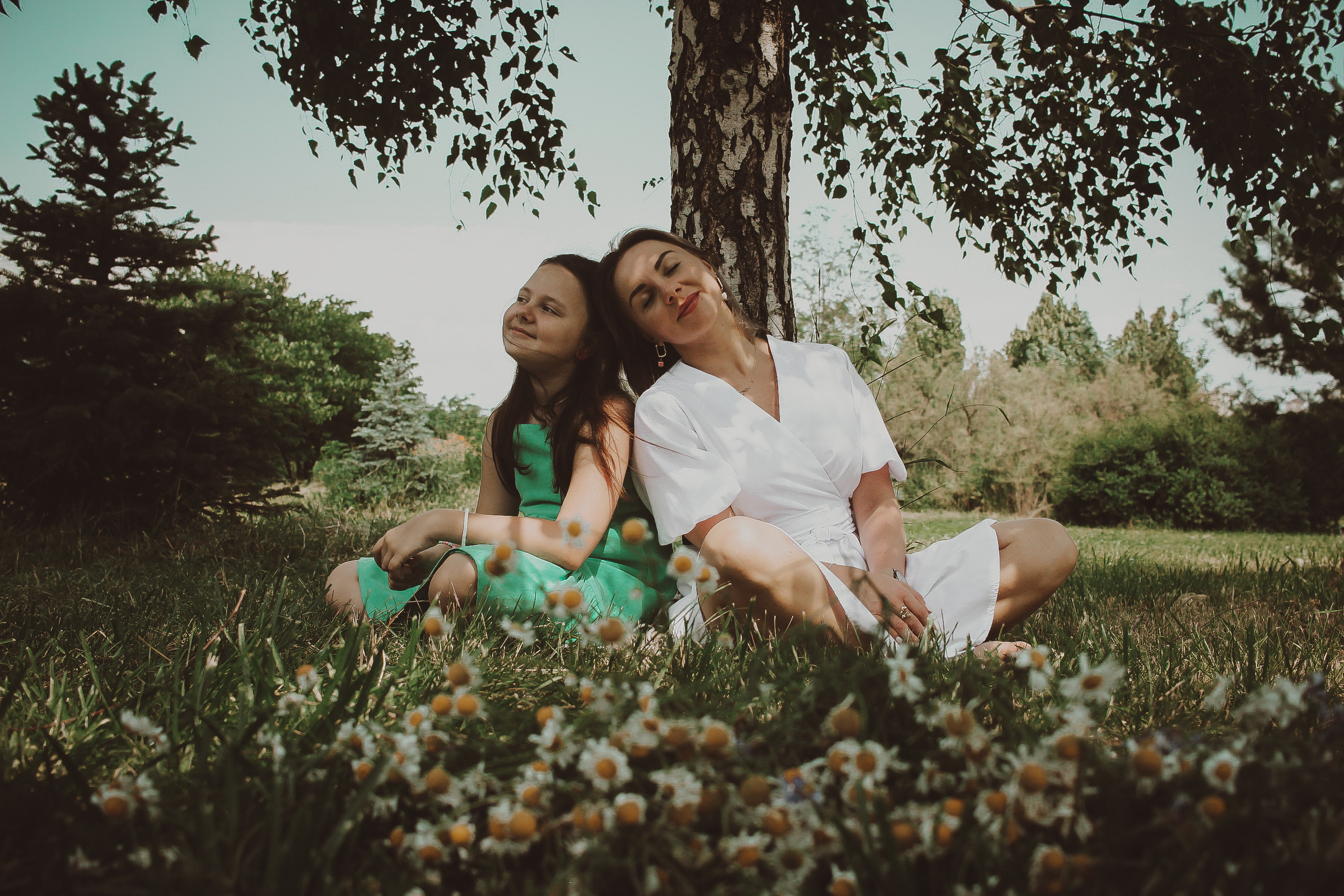 Летний парк и ромашки. Коммерческий фотограф. Ростов-на-Дону. Дарья Константинова