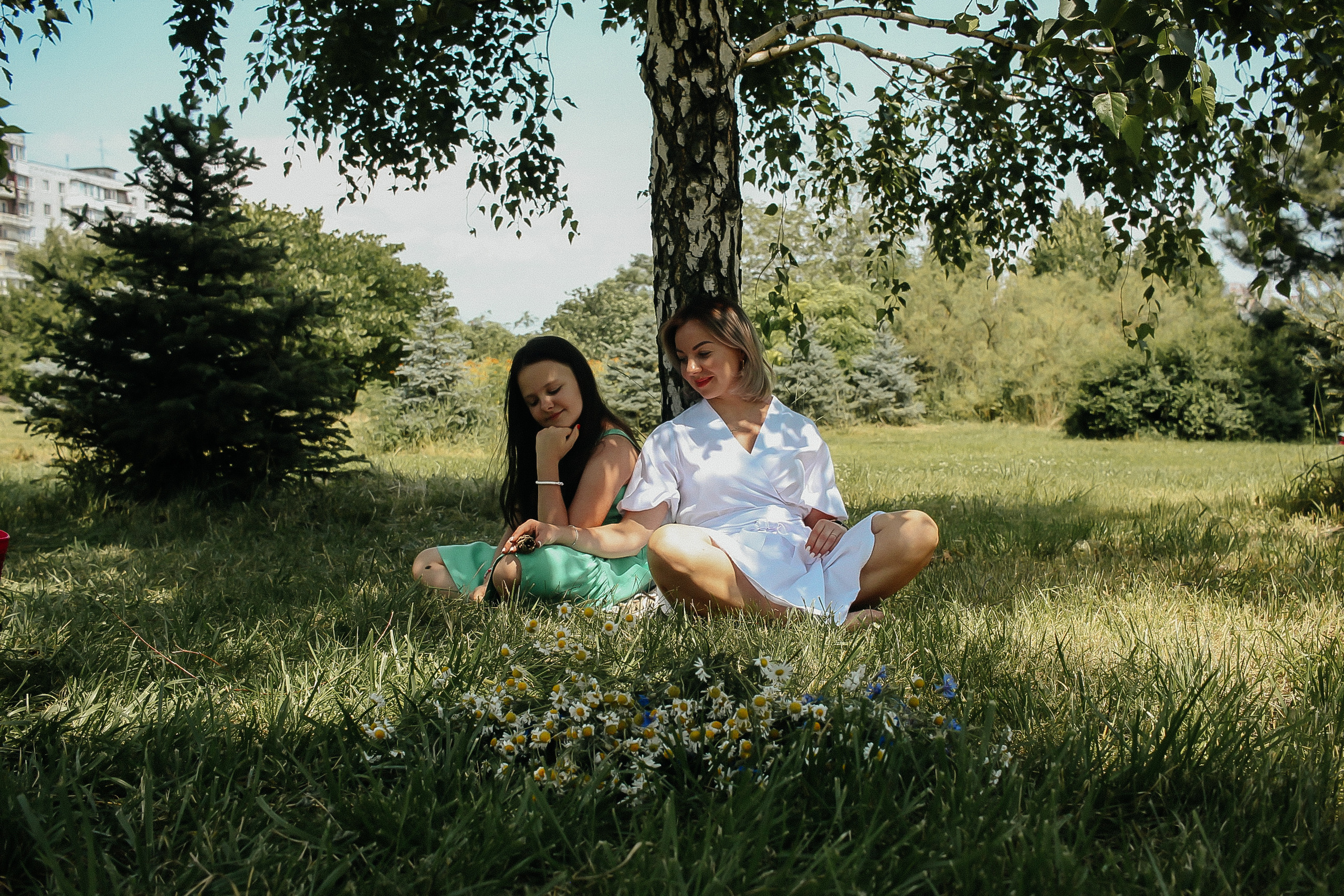 Летний парк и ромашки. Коммерческий фотограф. Ростов-на-Дону. Дарья Константинова