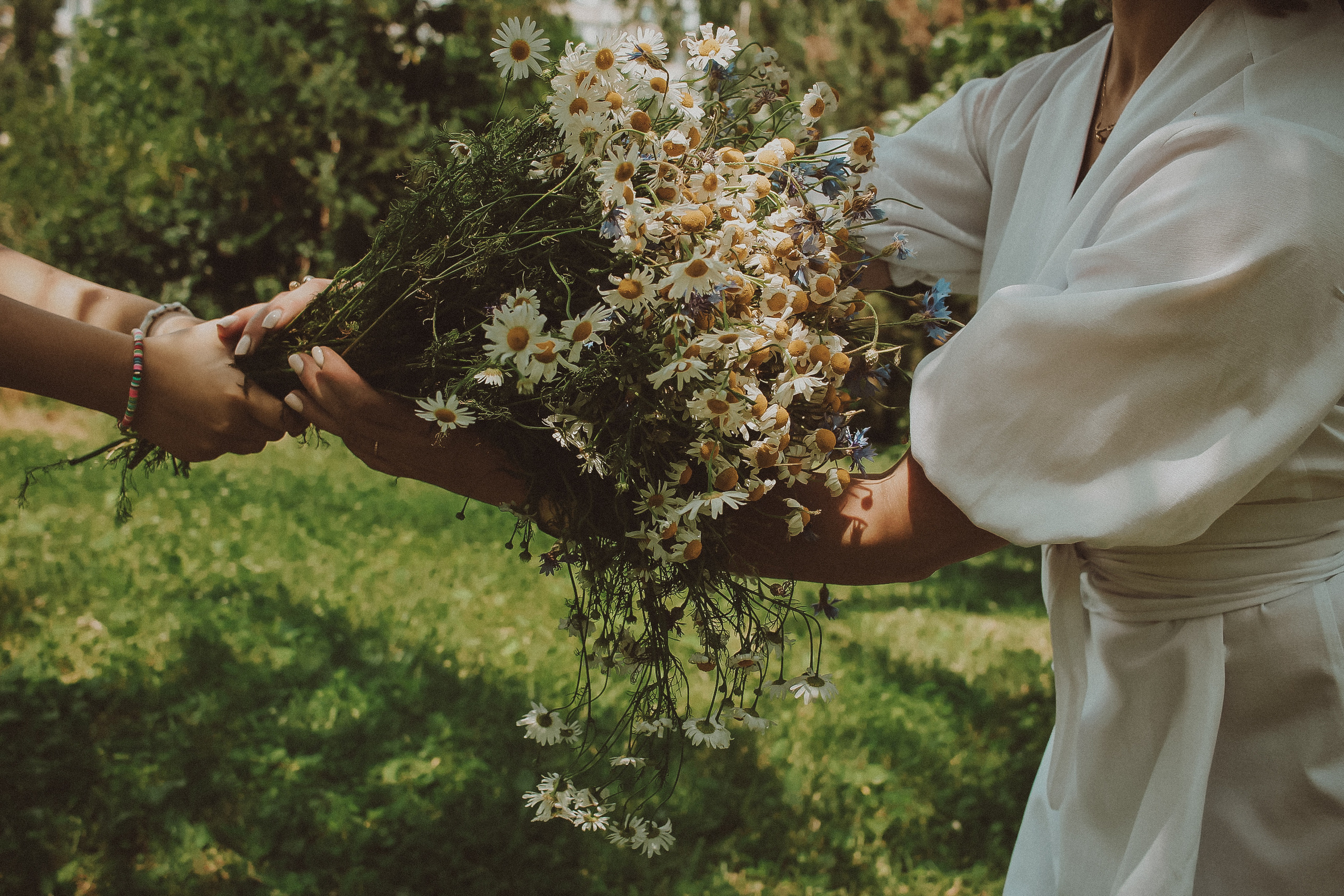 Летний парк и ромашки. Коммерческий фотограф. Ростов-на-Дону. Дарья Константинова