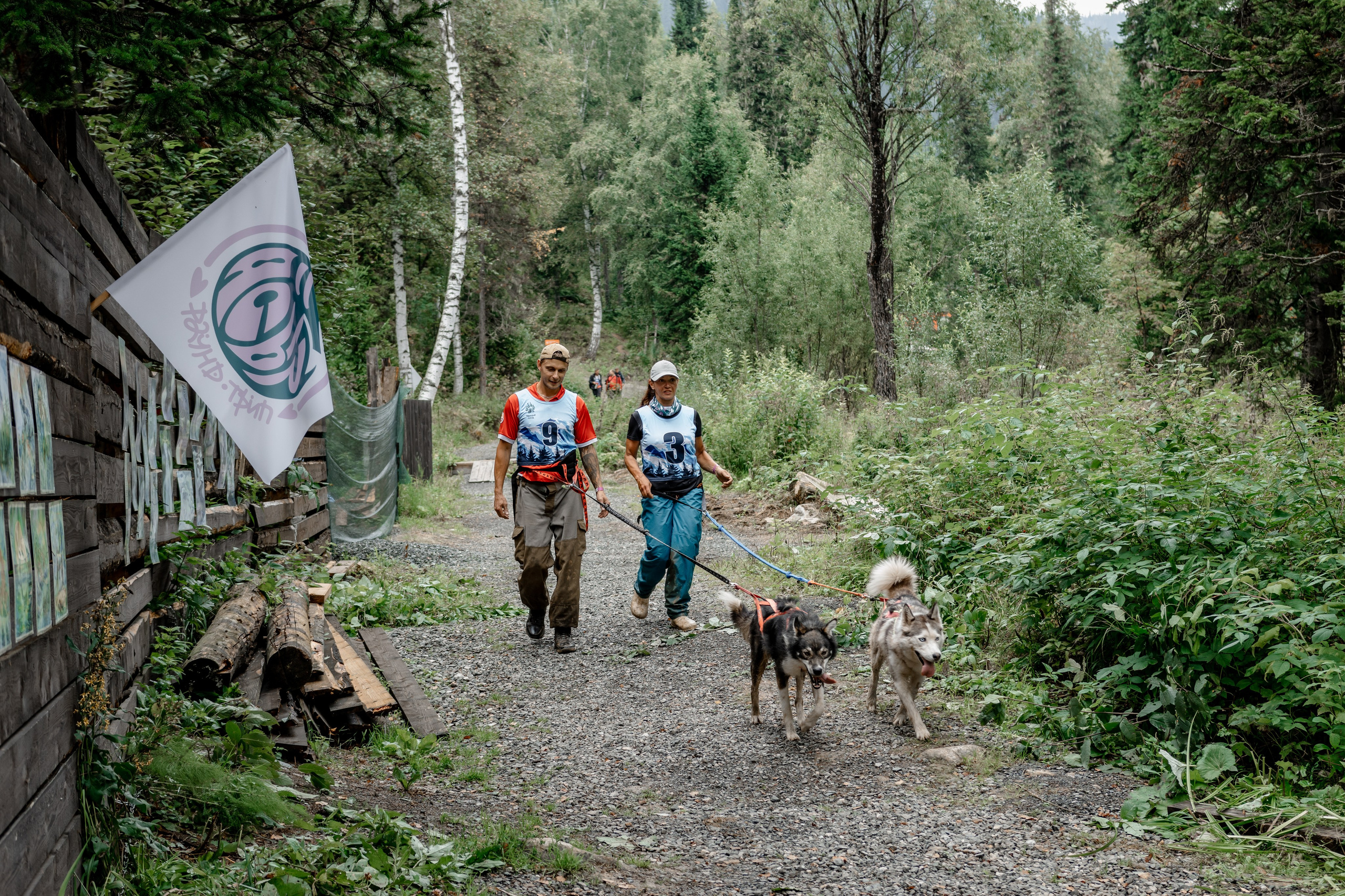 Дог-треккинг