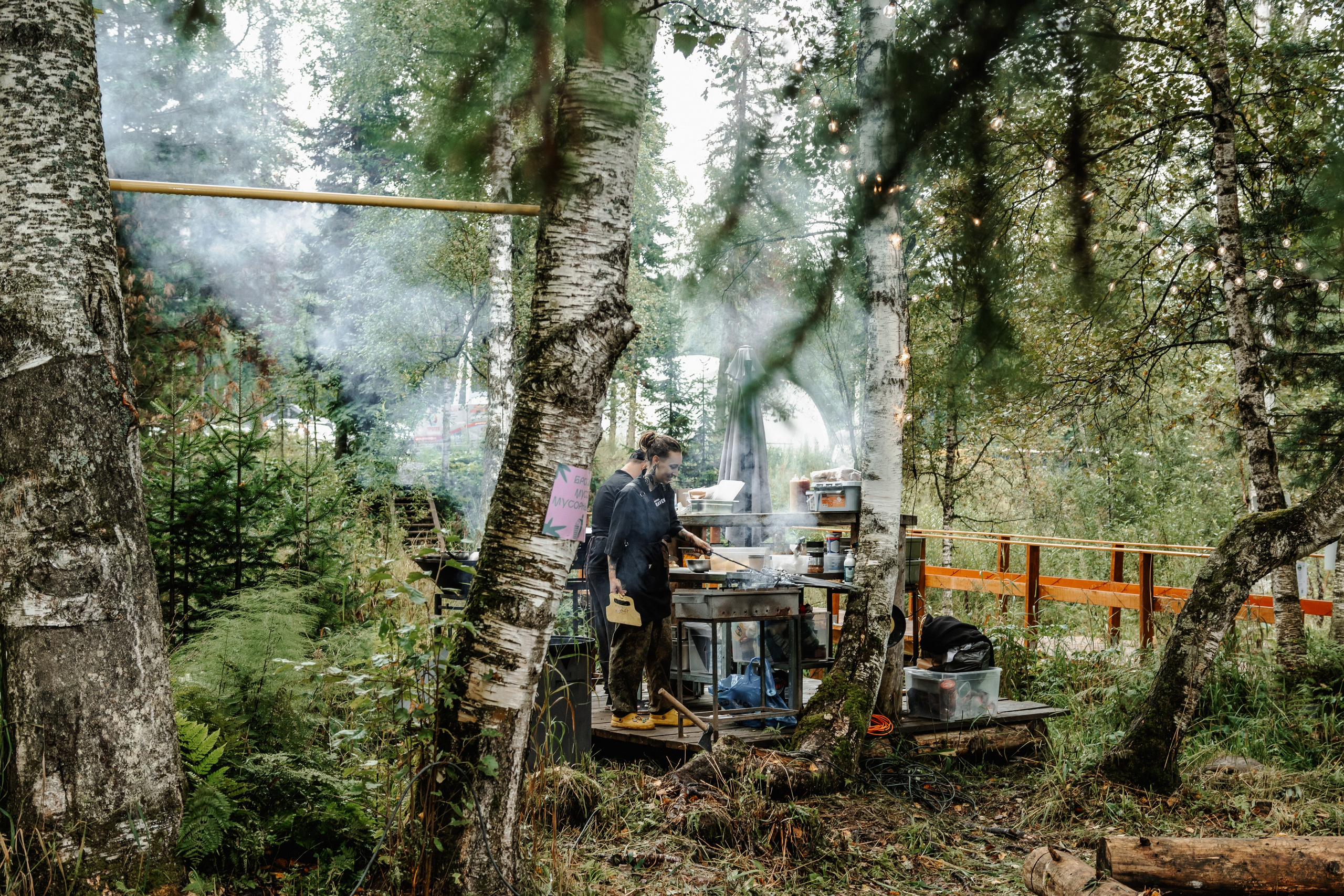 Дог-треккинг