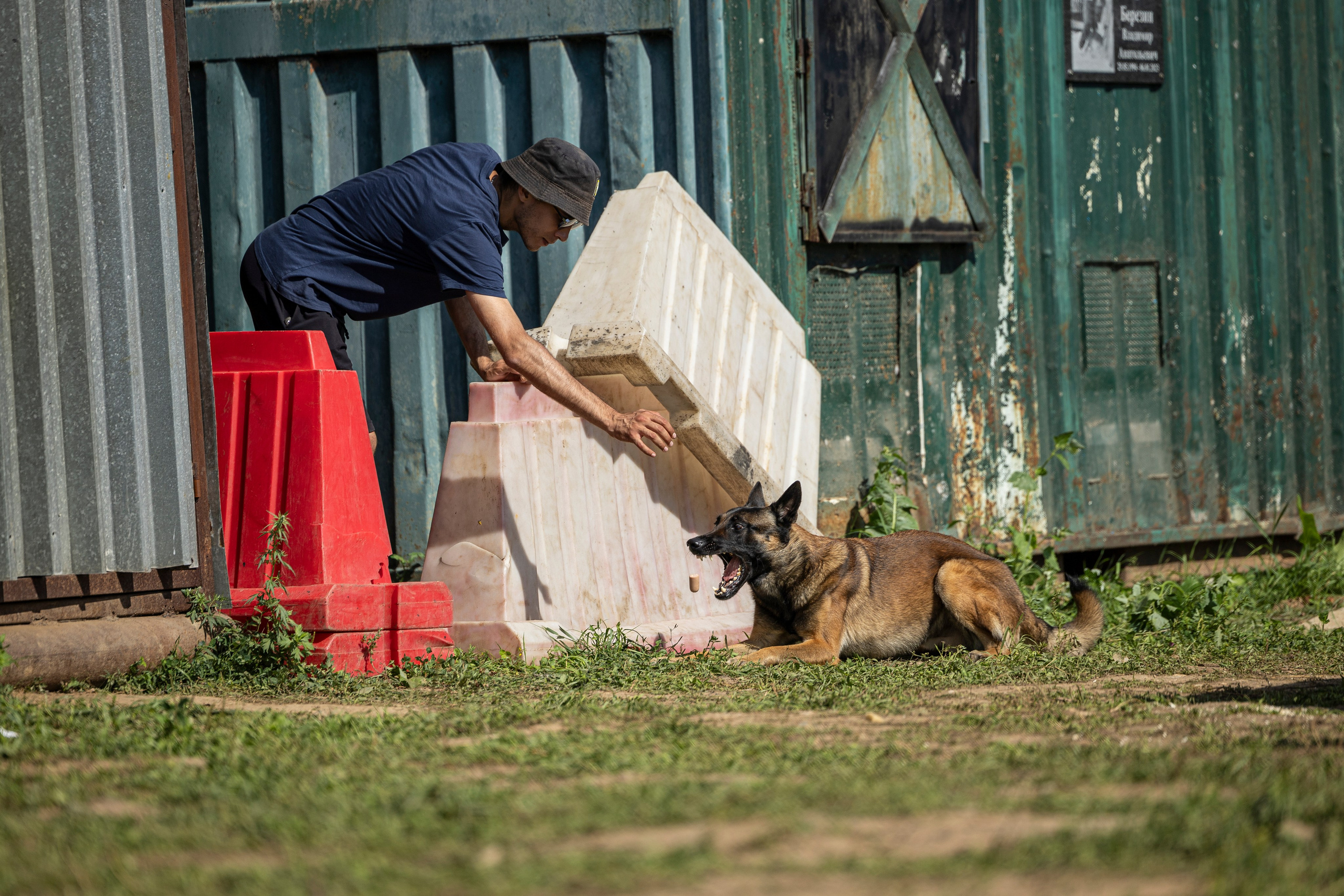 Соревнования по Мондьорингу г. Вологда 10-11.08.2024. Фотограф-анималист Анна Маринич