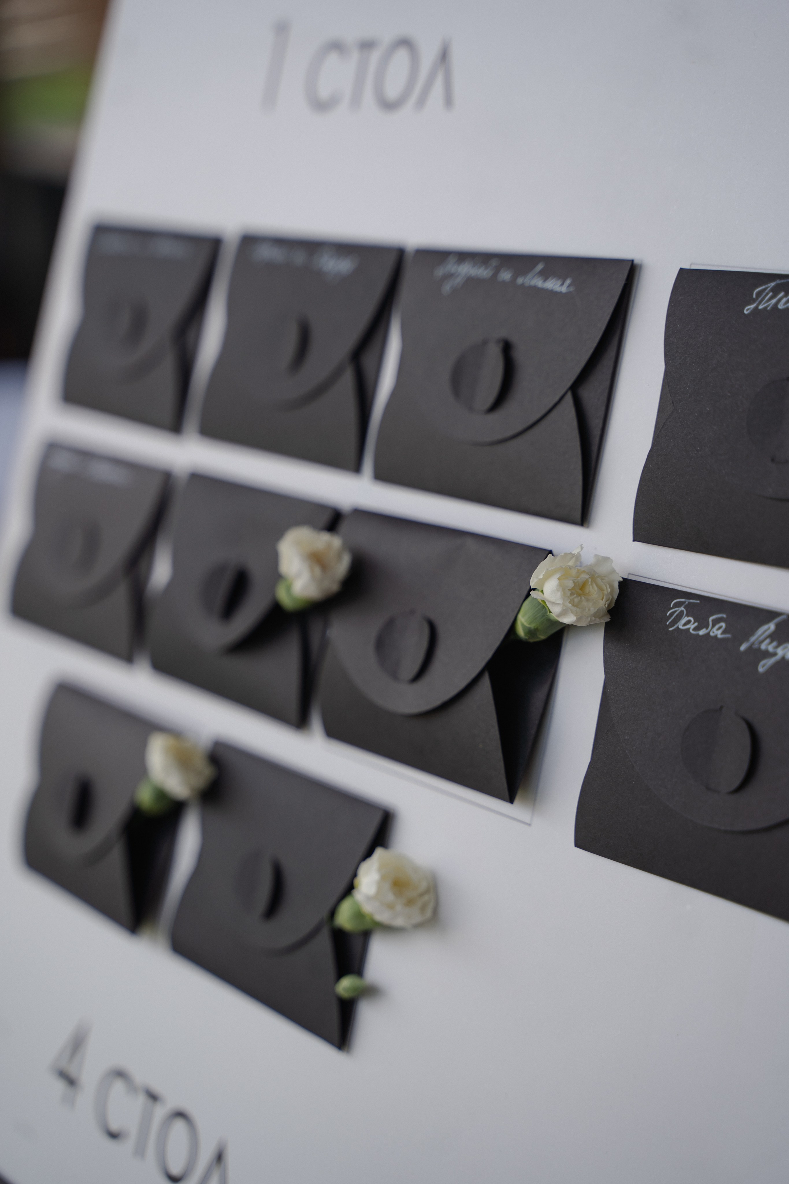 Любовь и Артур. Сосновый бор. Фотограф Аля Овчарова