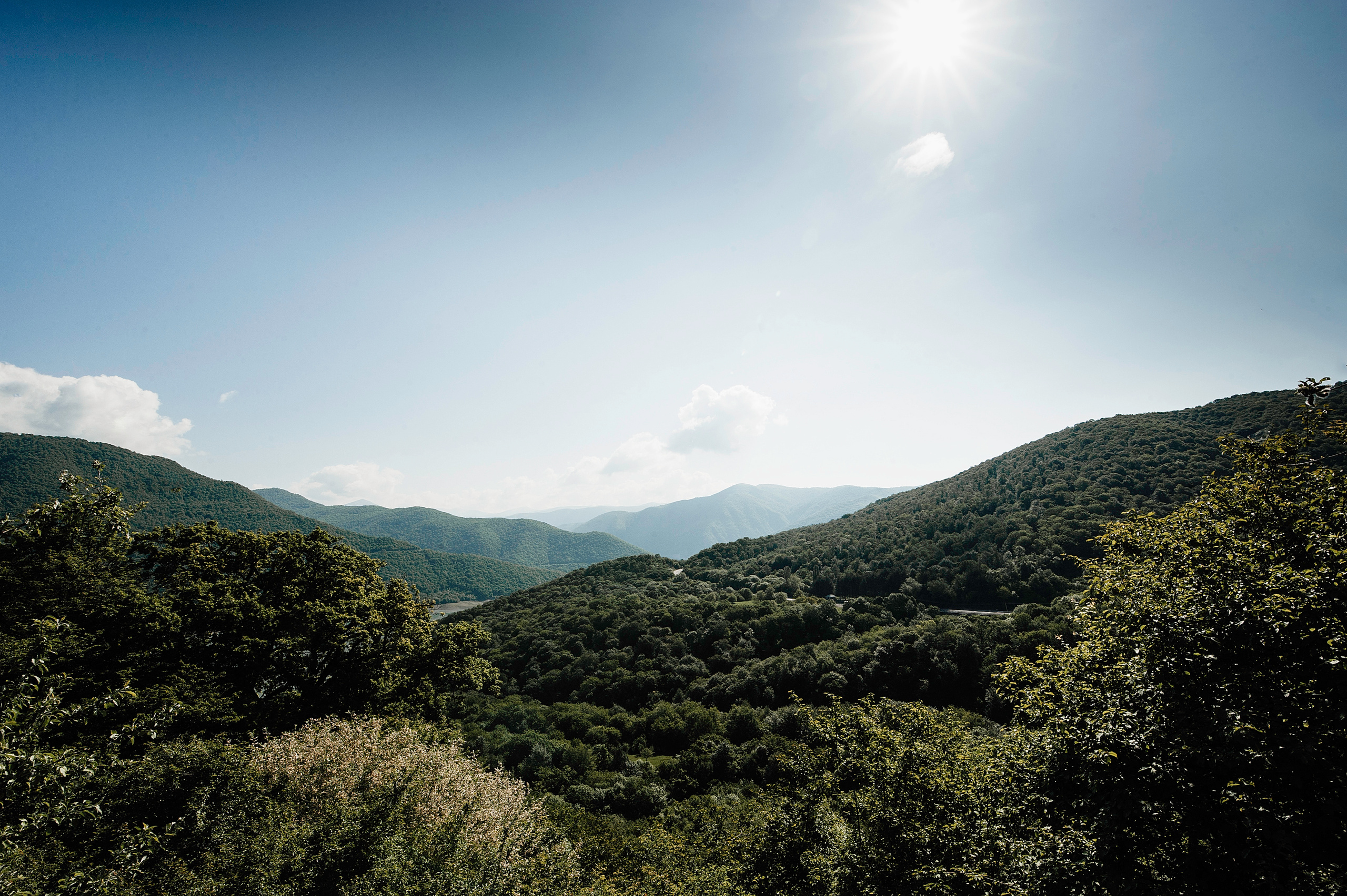 Артём и Елена. Свадебный и семейный фотограф в городе Чебоксары Стулов Алексей