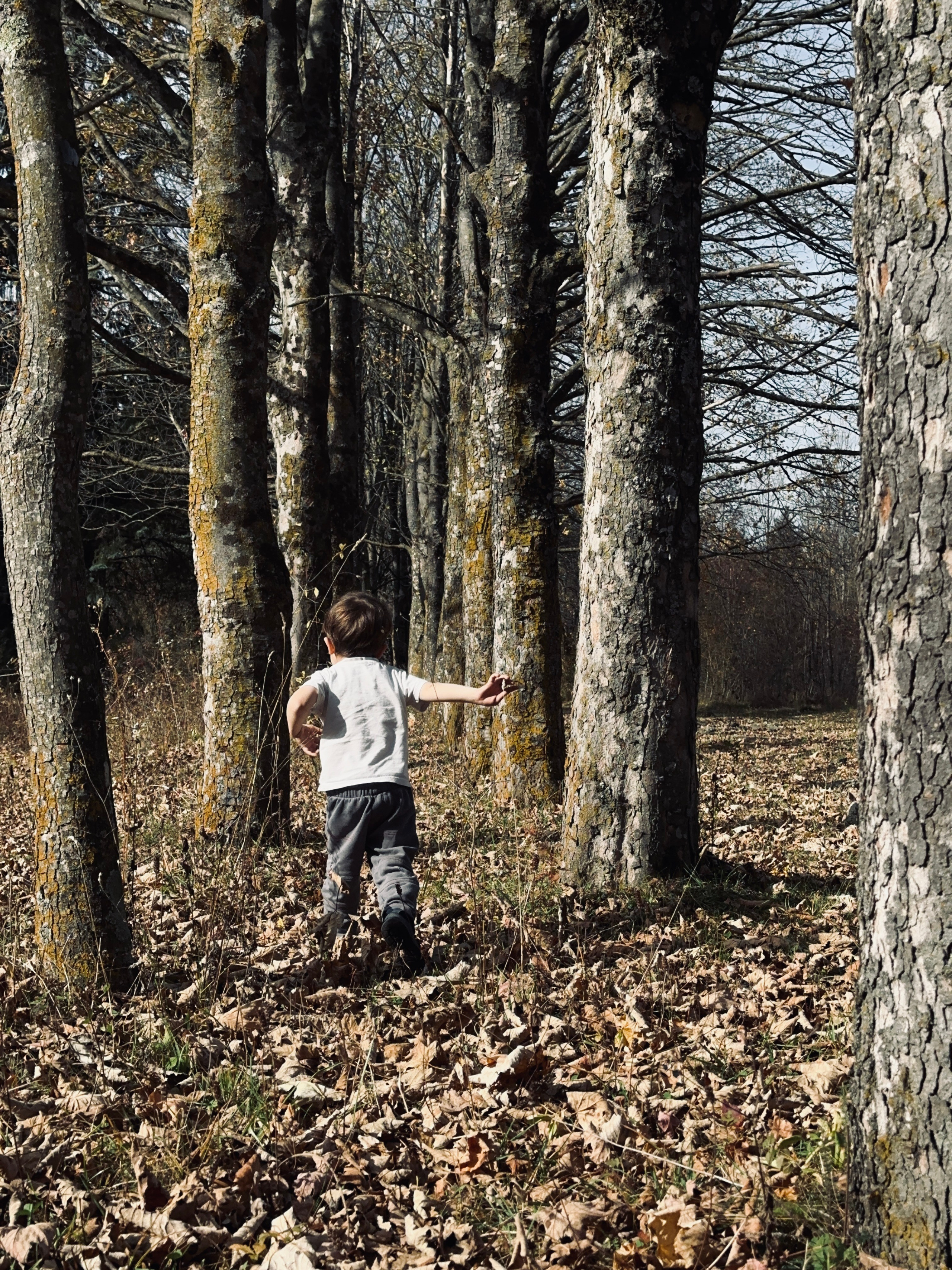 Дети. Смотри, красота!