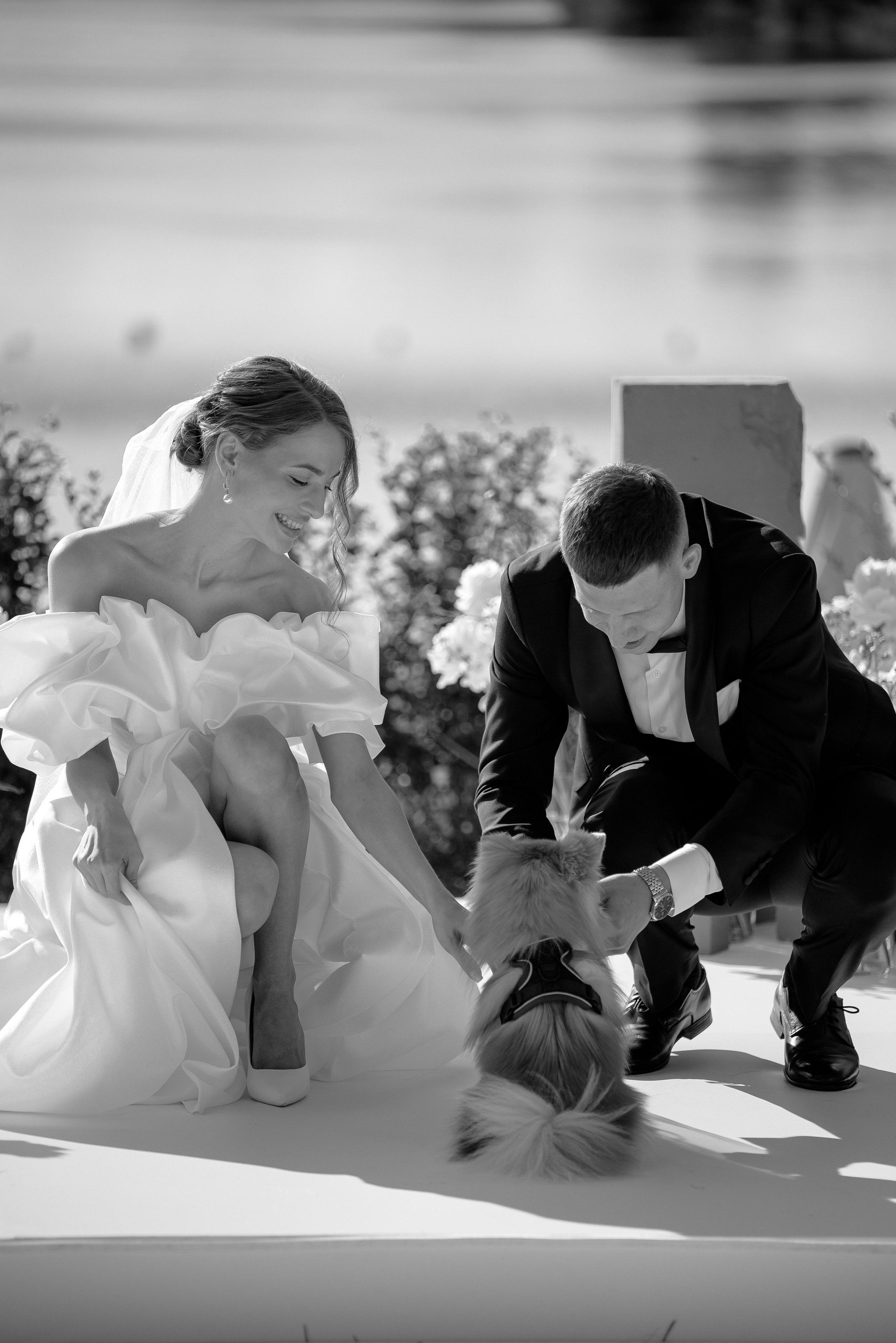 Никита и Вероника. Свадебный фотограф Евгения Наумовец