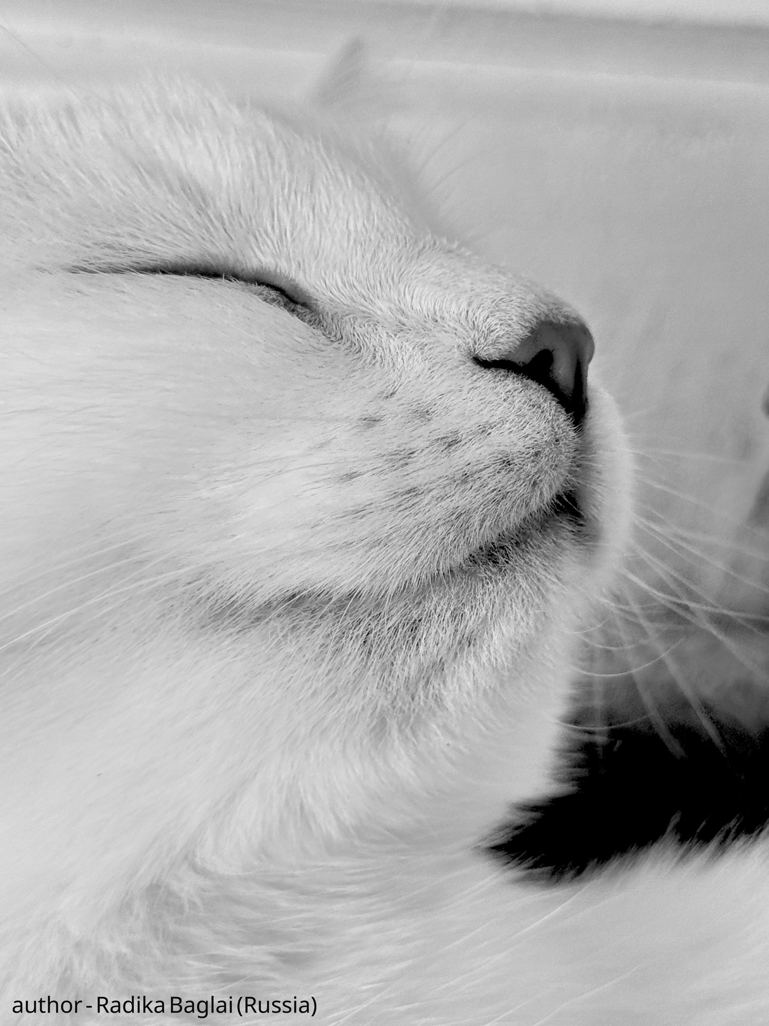 Gallery. UNUSUAL TALENT magazine