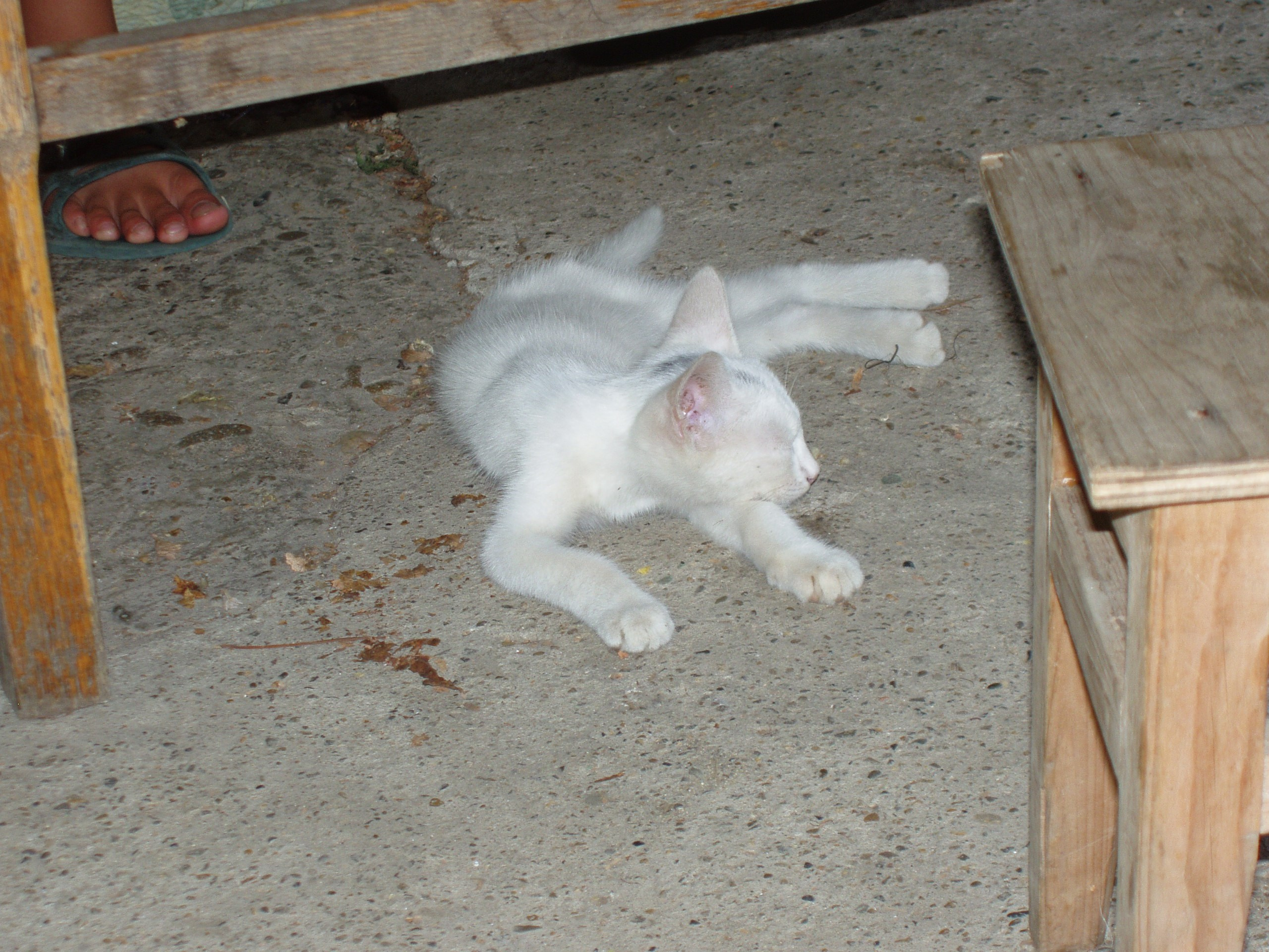 Отпуск 20.07-17.08. Семейный, Свадебный фотограф СПБ Питер— Романова Екатерина