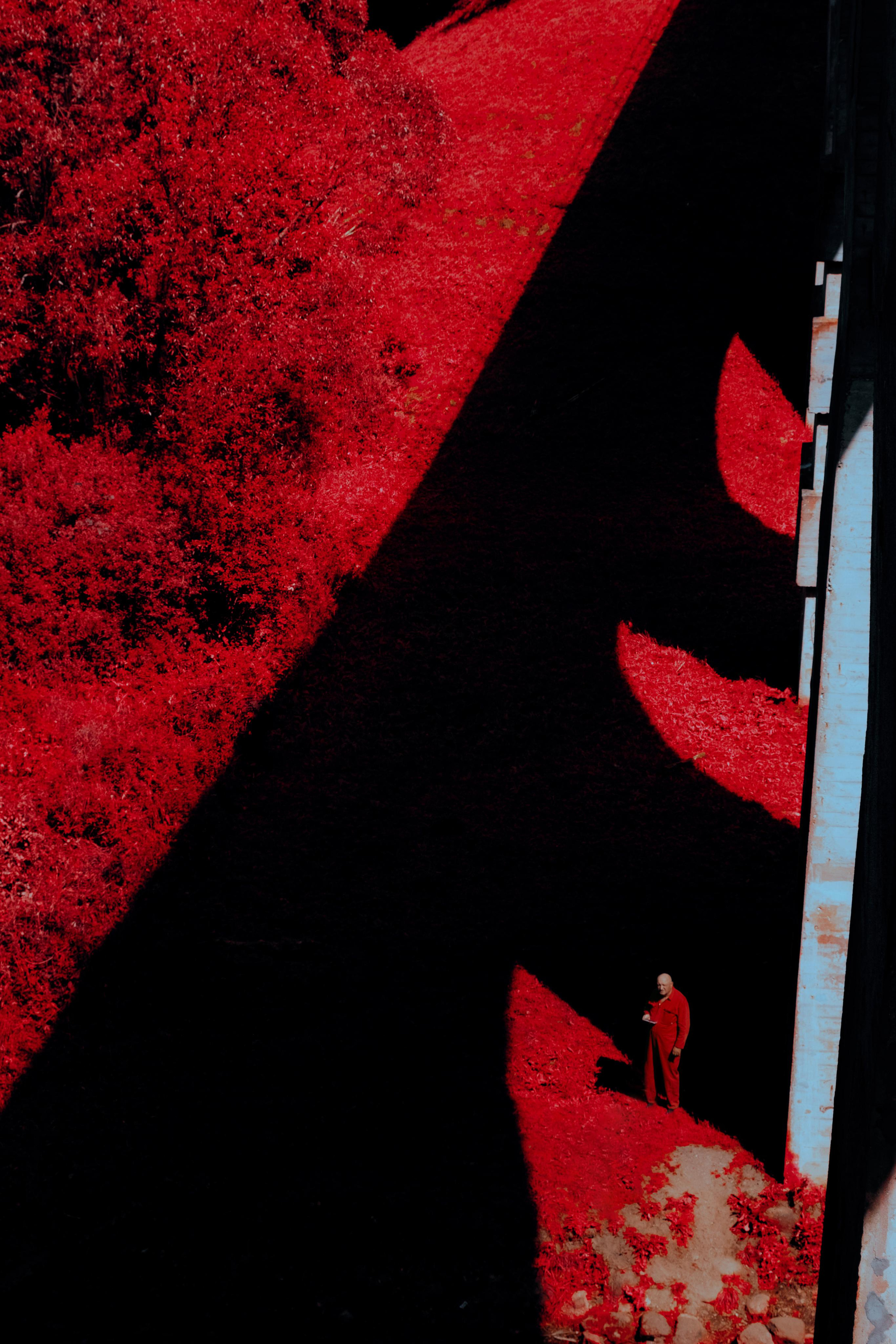 Спортивный Фотограф в Калининграде