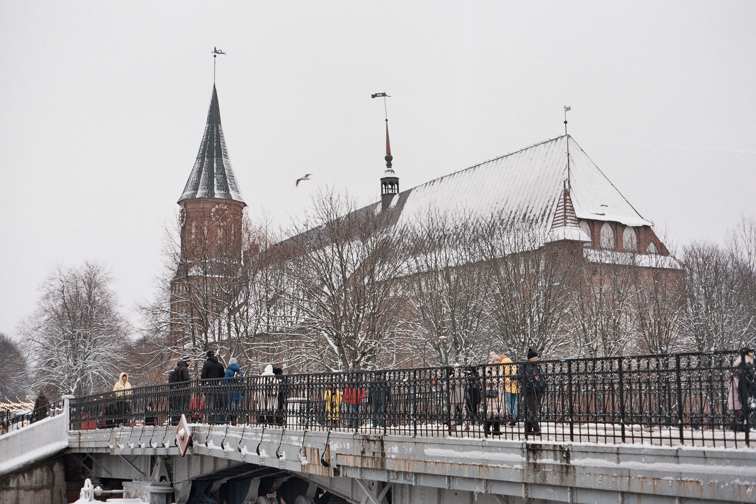 Спортивный Фотограф в Калининграде