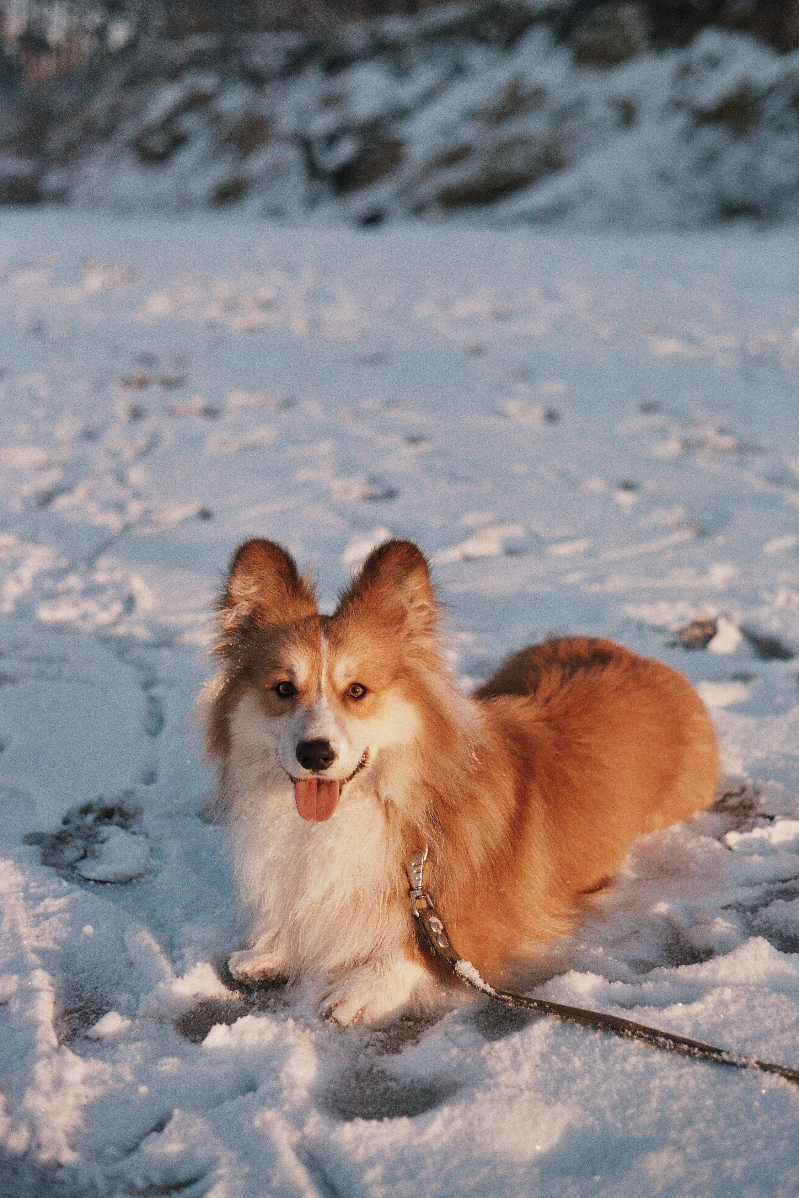 Спортивный Фотограф в Калининграде