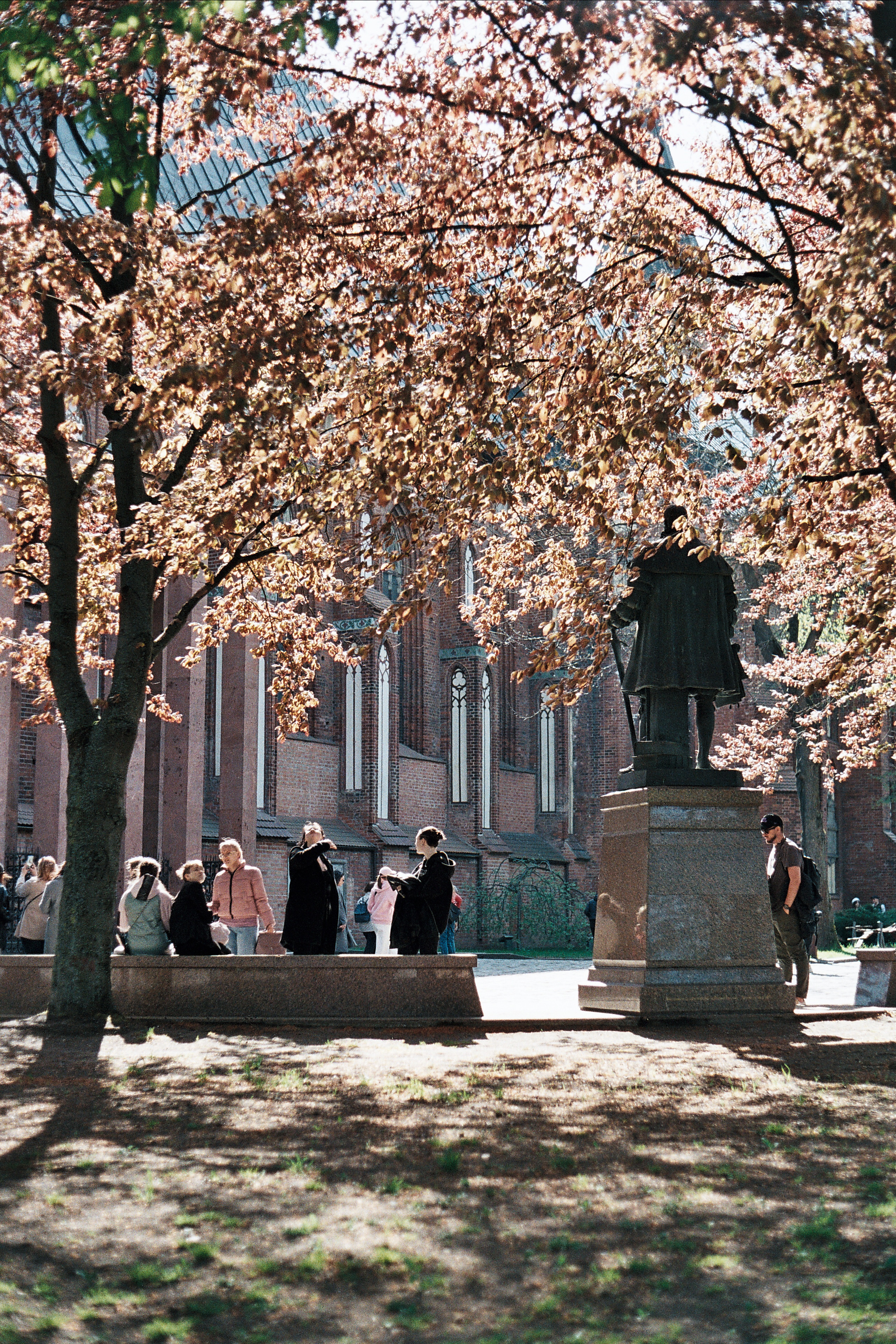 Спортивный Фотограф в Калининграде