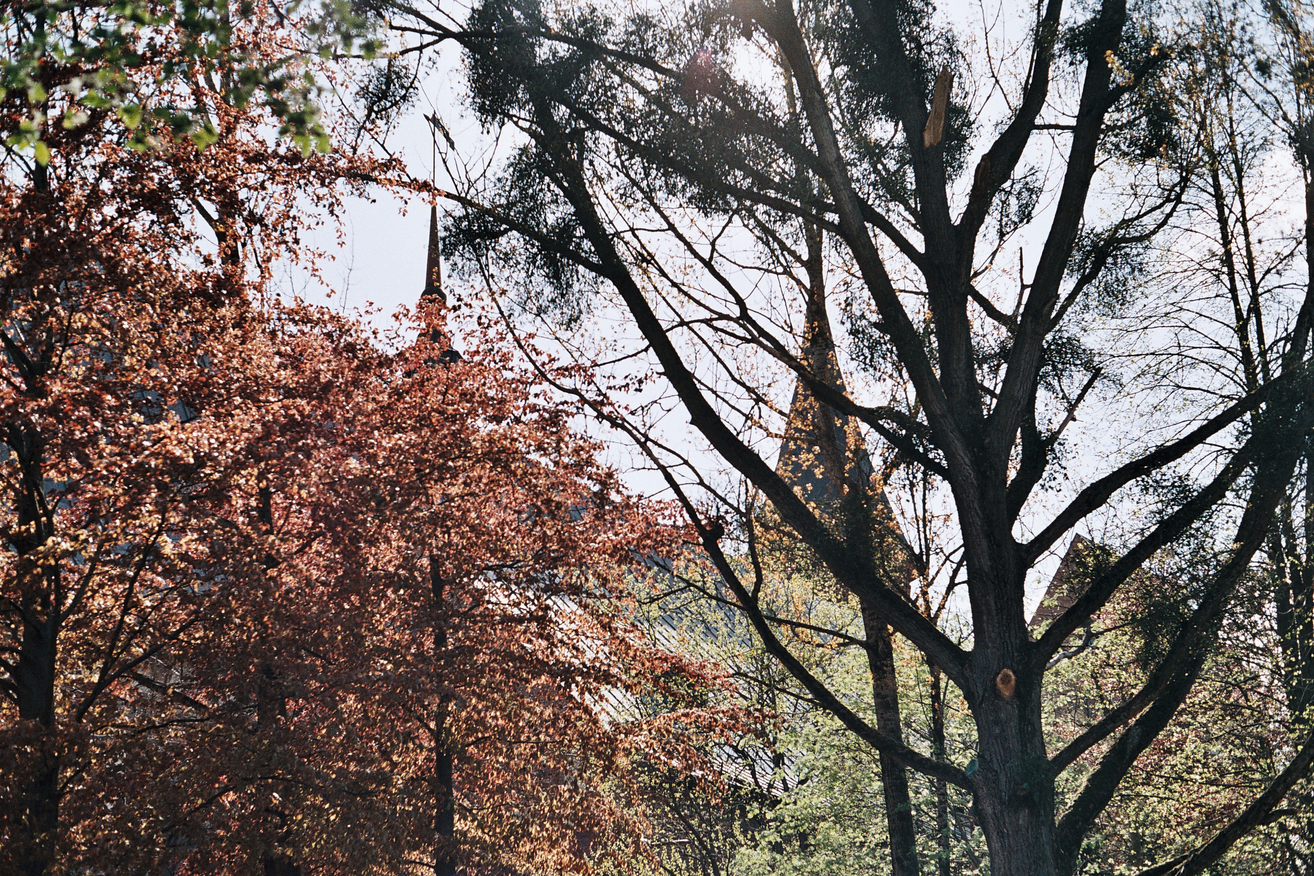 Спортивный Фотограф в Калининграде