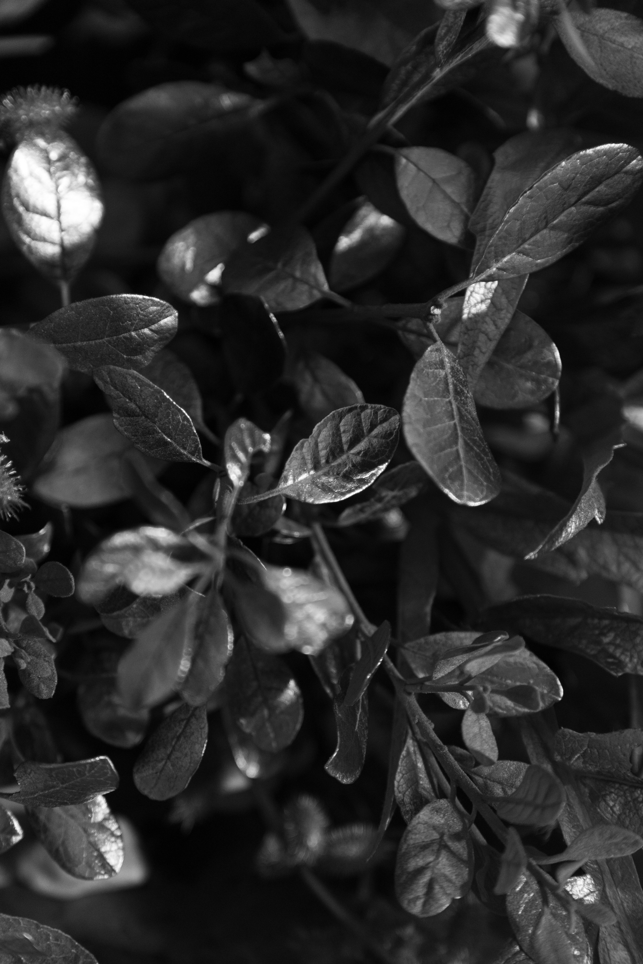 Decor | Серебро