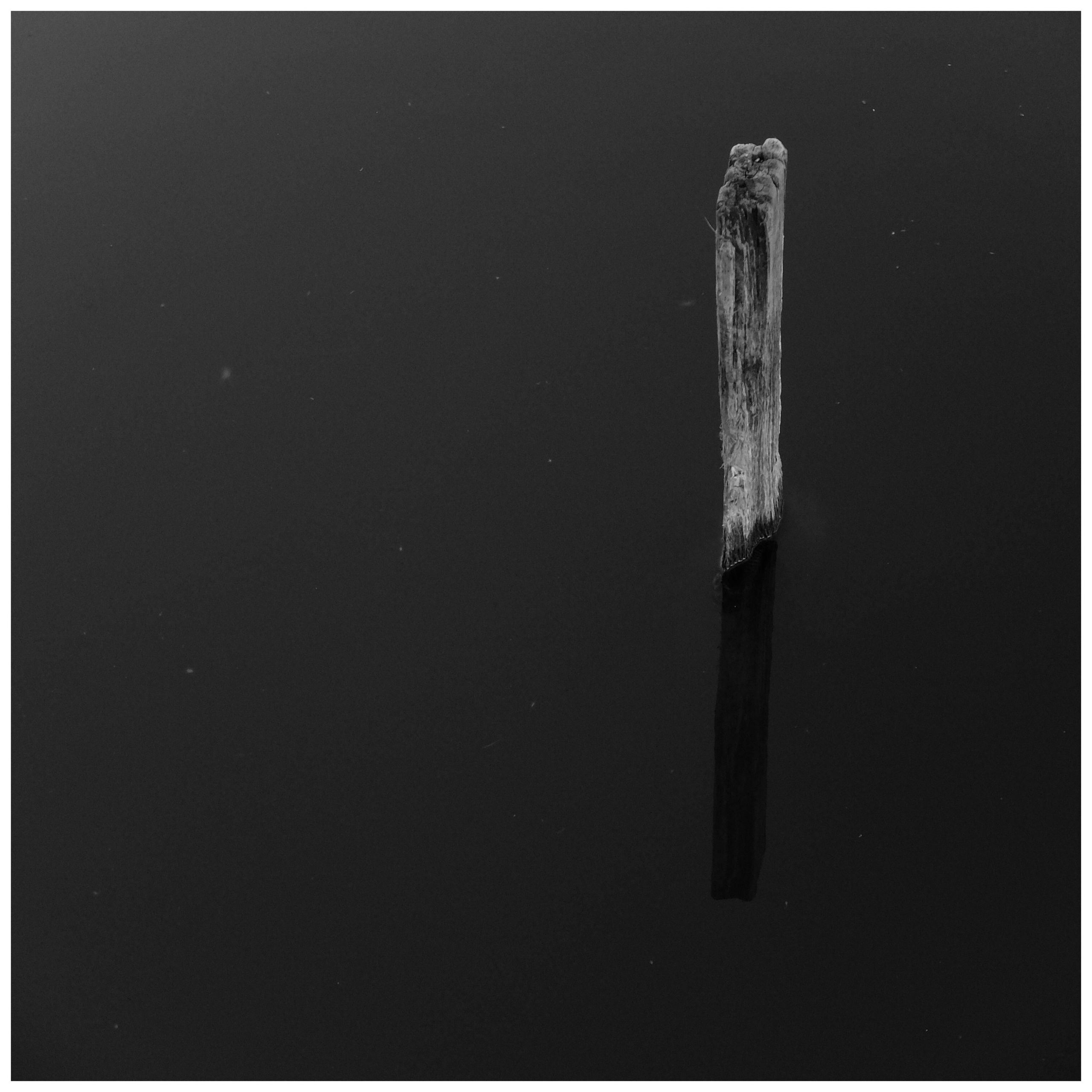 Промежуточные моменты (2022)