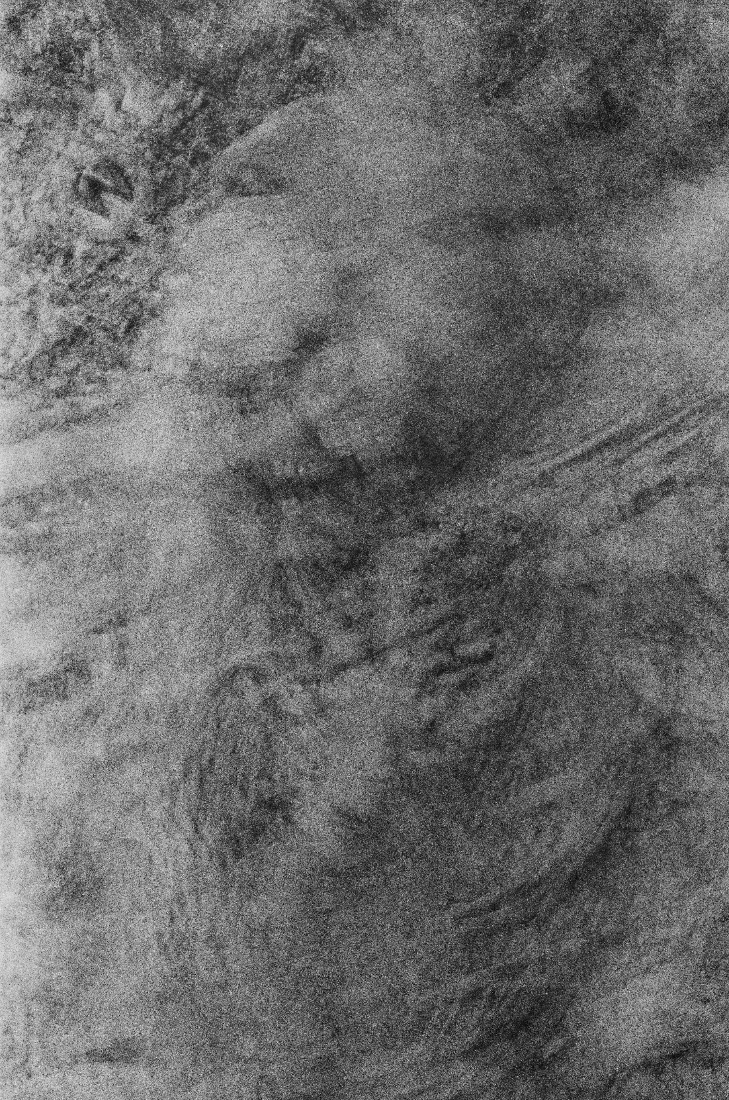 Персональные данные. Фотографии Саши Любина