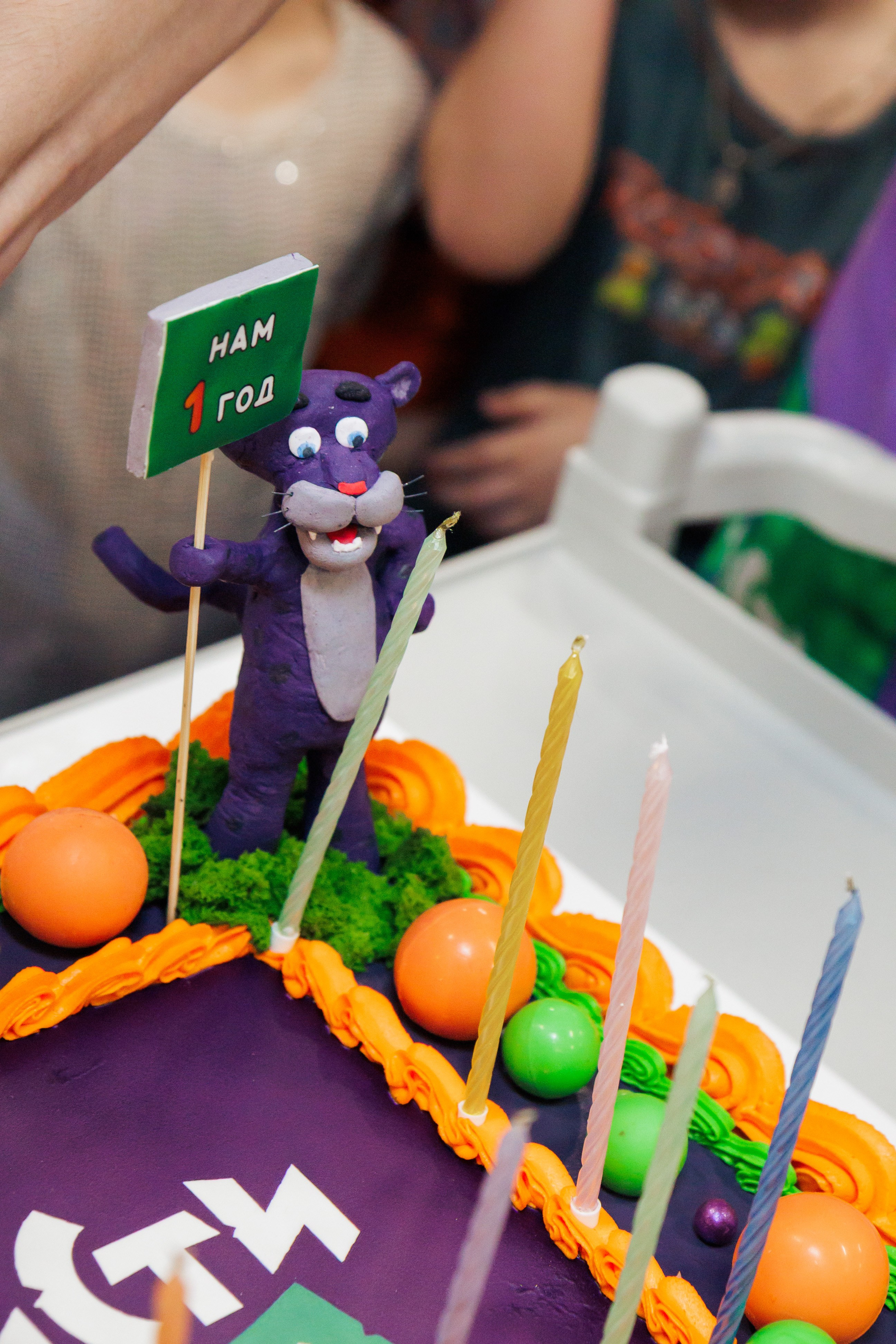 День Рождения Мисти Парка (1 год. Ярославль). Репортажный фотограф. Ярославль. Мелюшин Александр