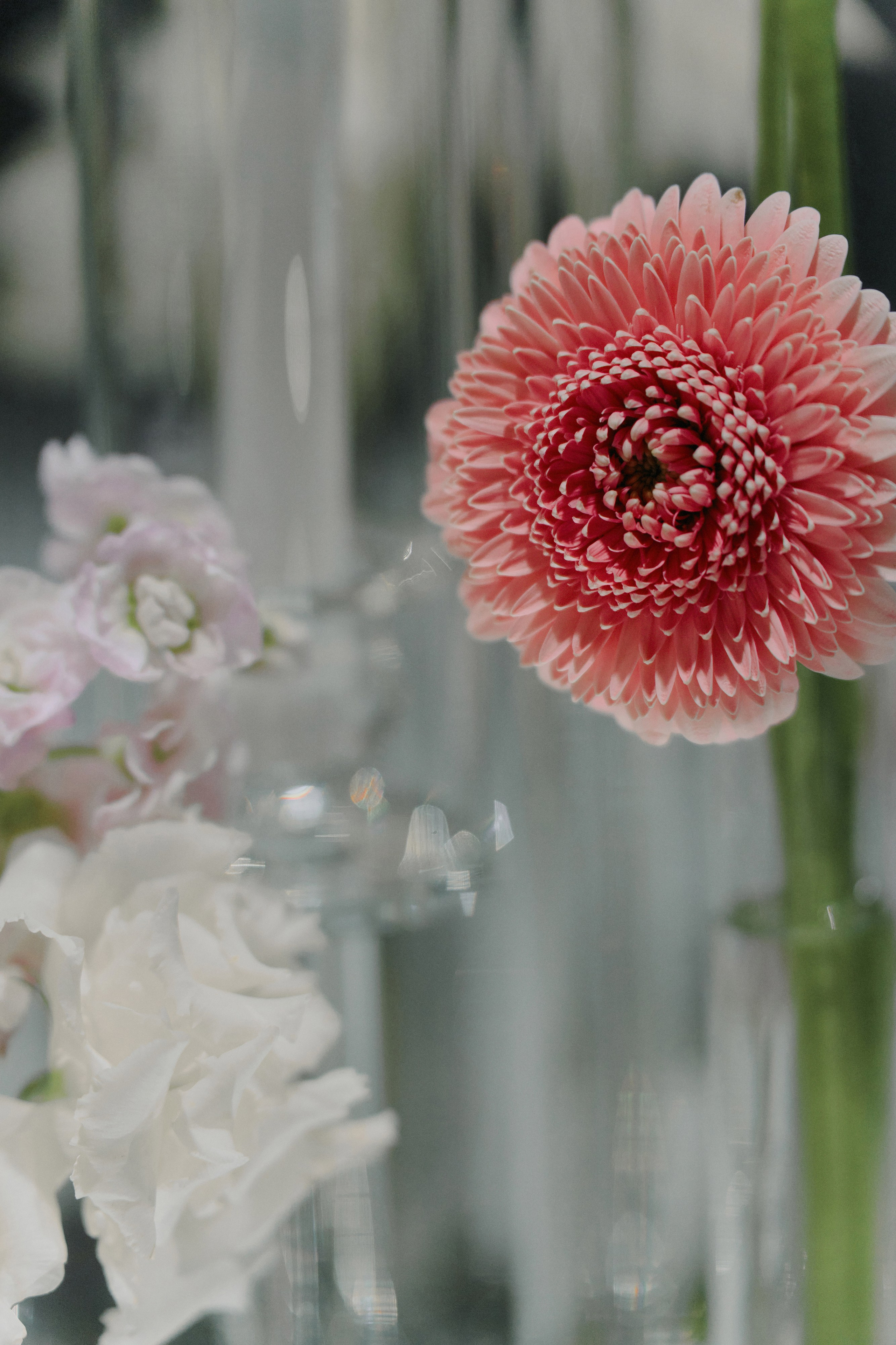 Your love is all I need in my world. Свадебный фотограф в Ростовe-на-Дону Анастасия Прутова