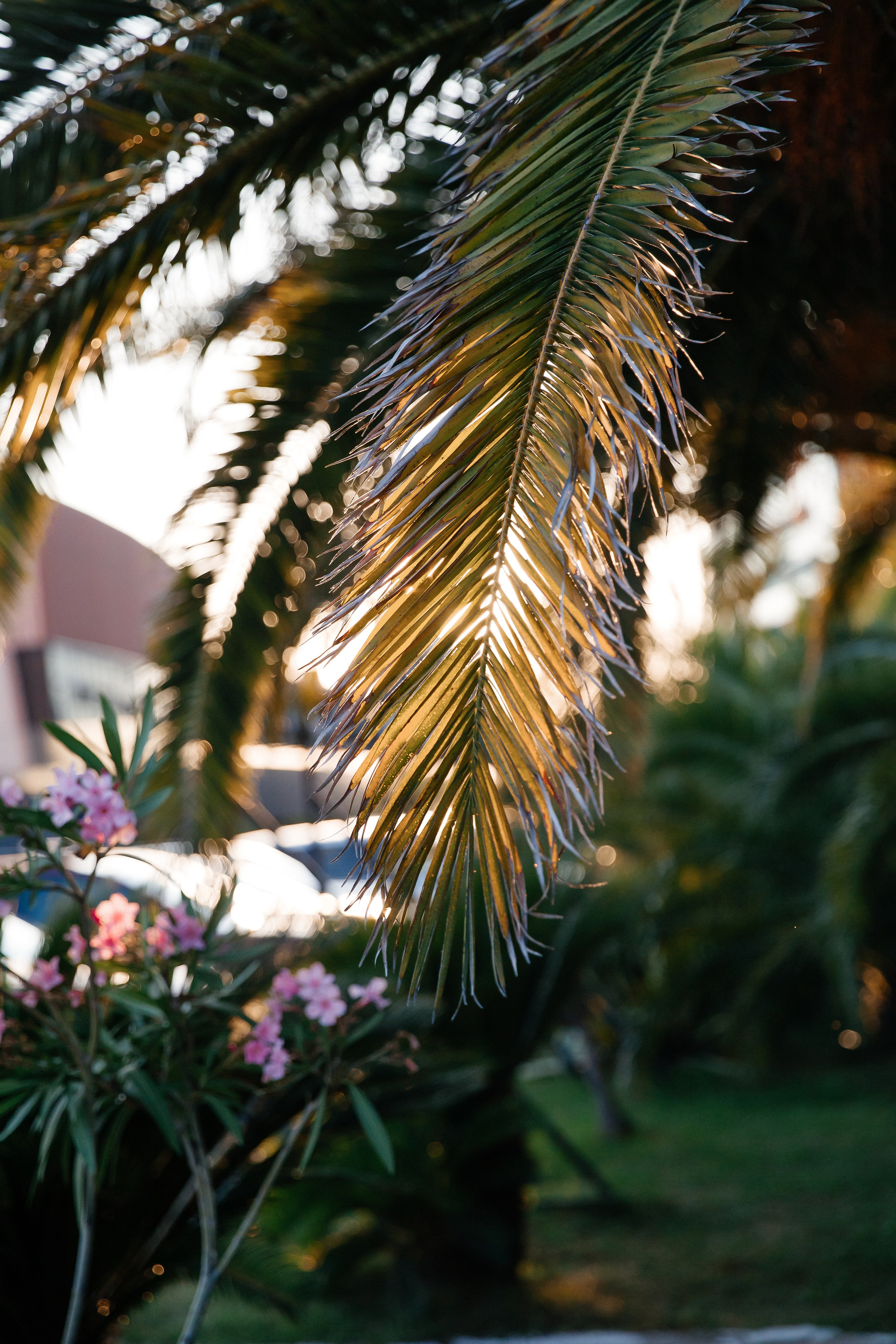 ELENA & VALERIY. Свадебный фотограф | Екатеринбург | Сочи | Артем Шестаков