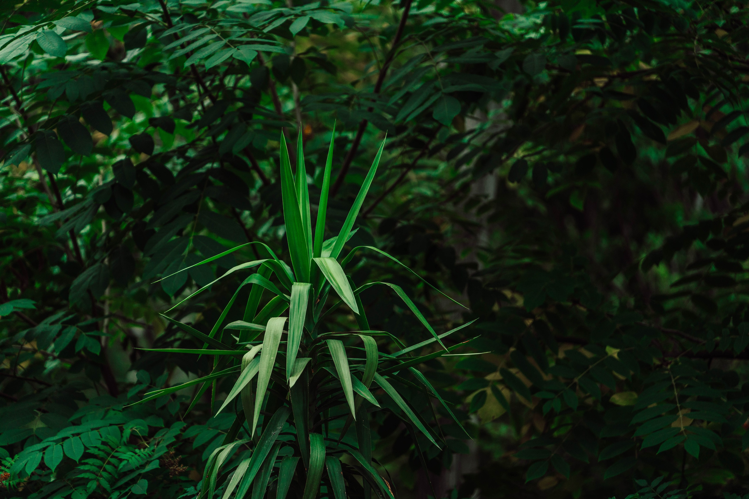 Усть-Каменогорск, Сентябрь 2024