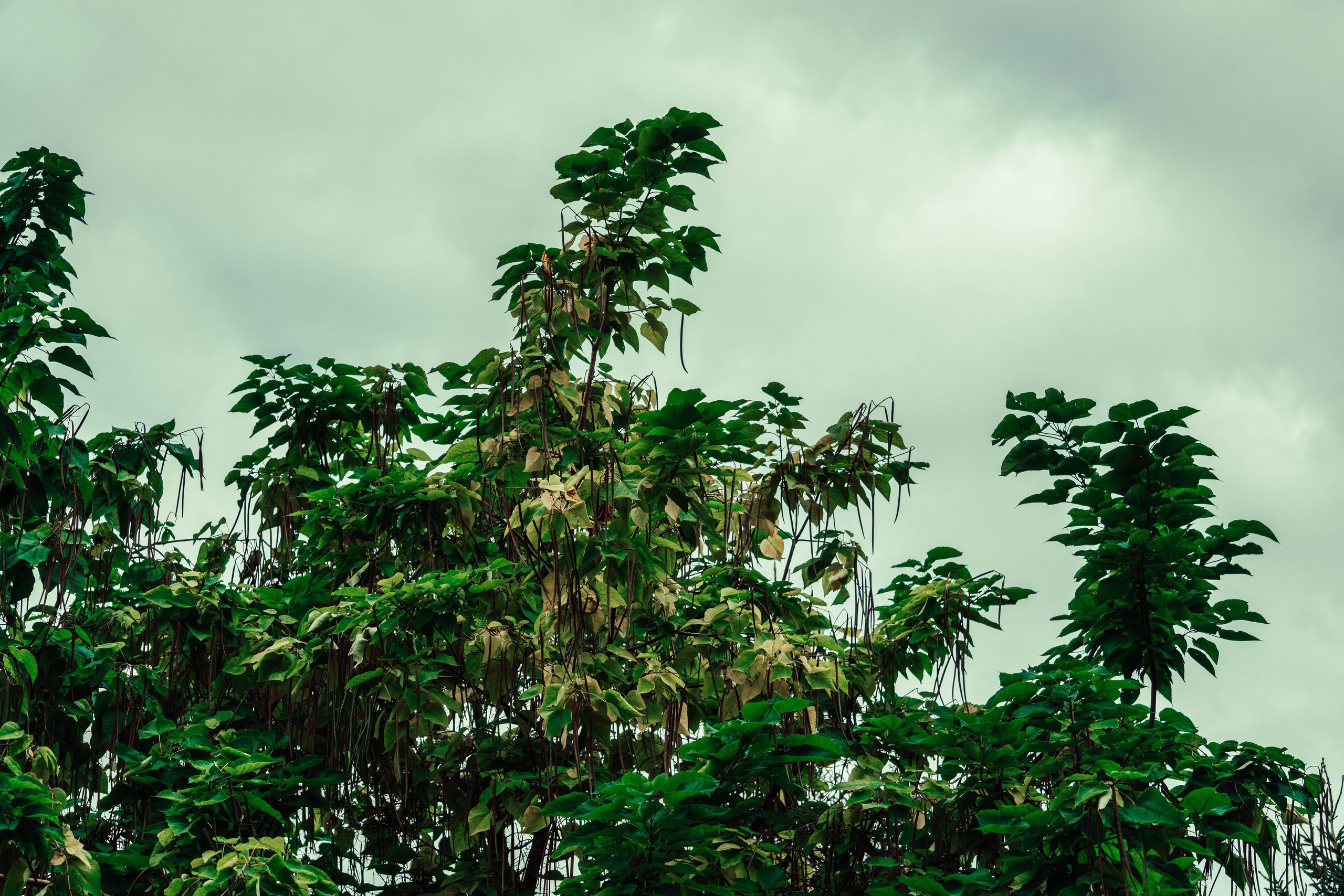 Усть-Каменогорск, Сентябрь 2024