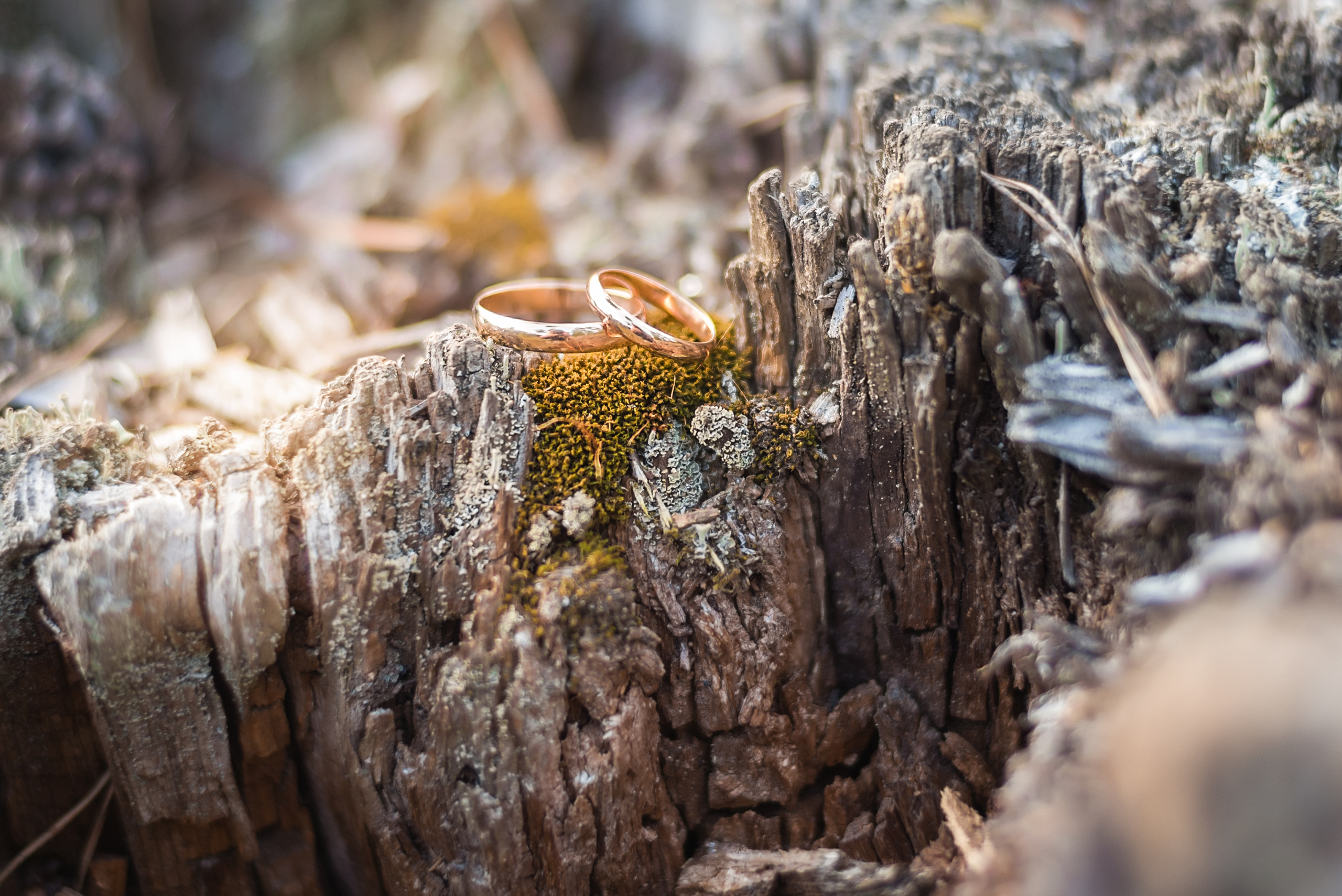Свадебная фотосъемка, свадьба фото. Свадебный и семейный фотограф Москва, Иваново Марина Праулинь (Плаксин