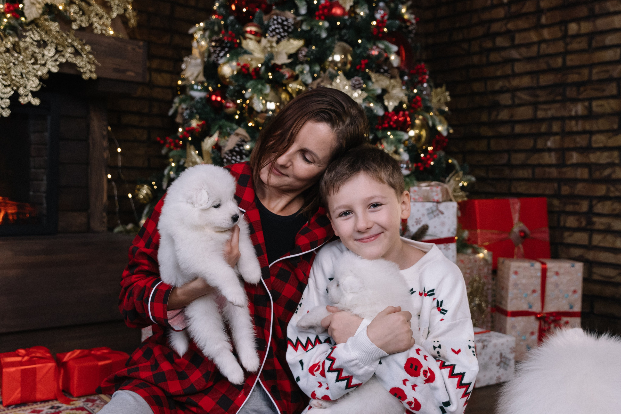 фотоссамоедами