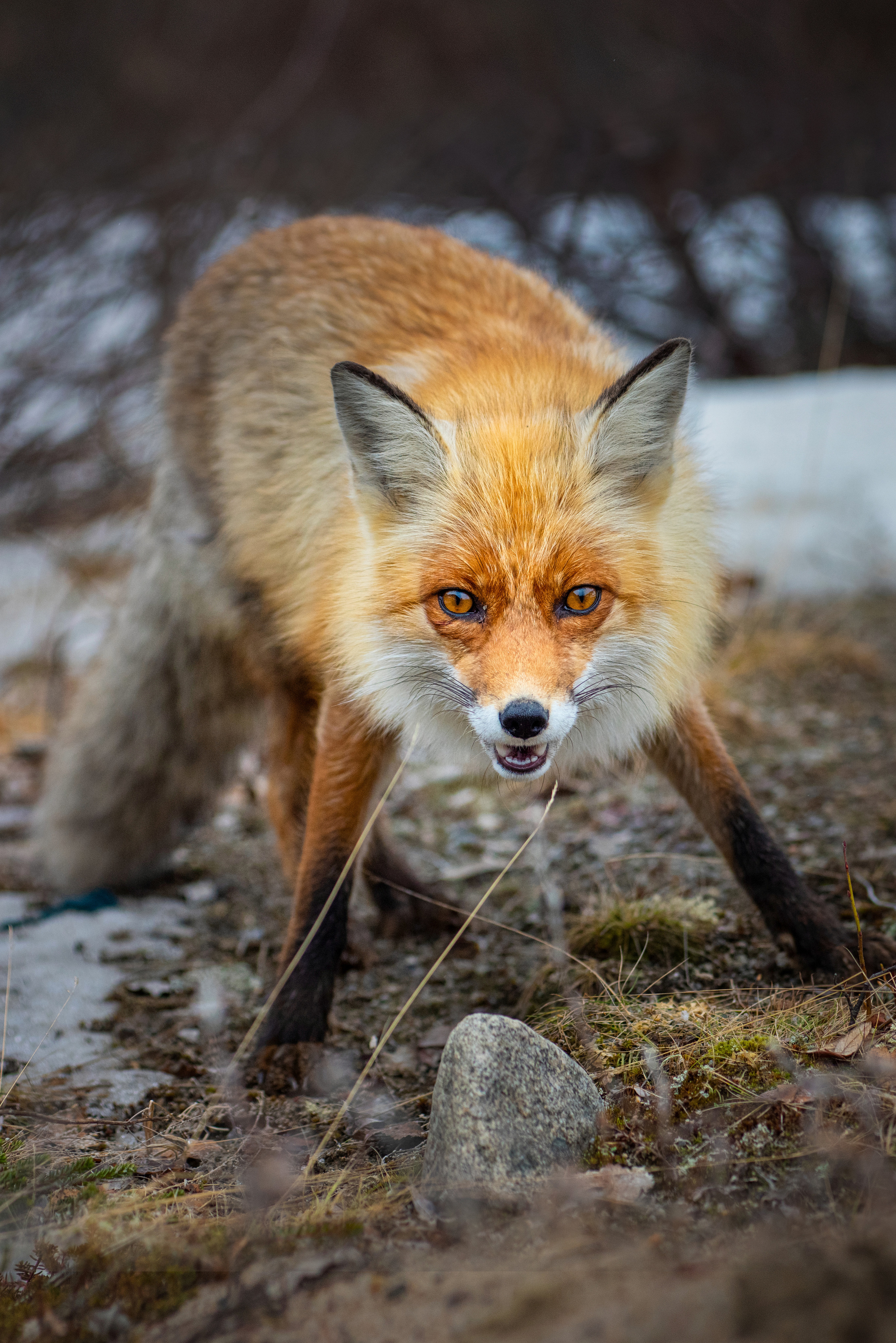 Russian North. Landscape photographer Elena Ermolina