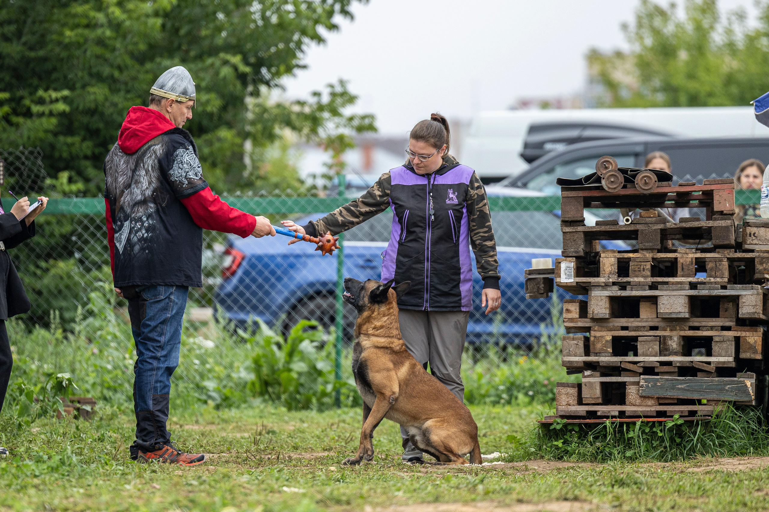Соревнования по Мондьорингу г. Вологда 10-11.08.2024. Фотограф-анималист Анна Маринич