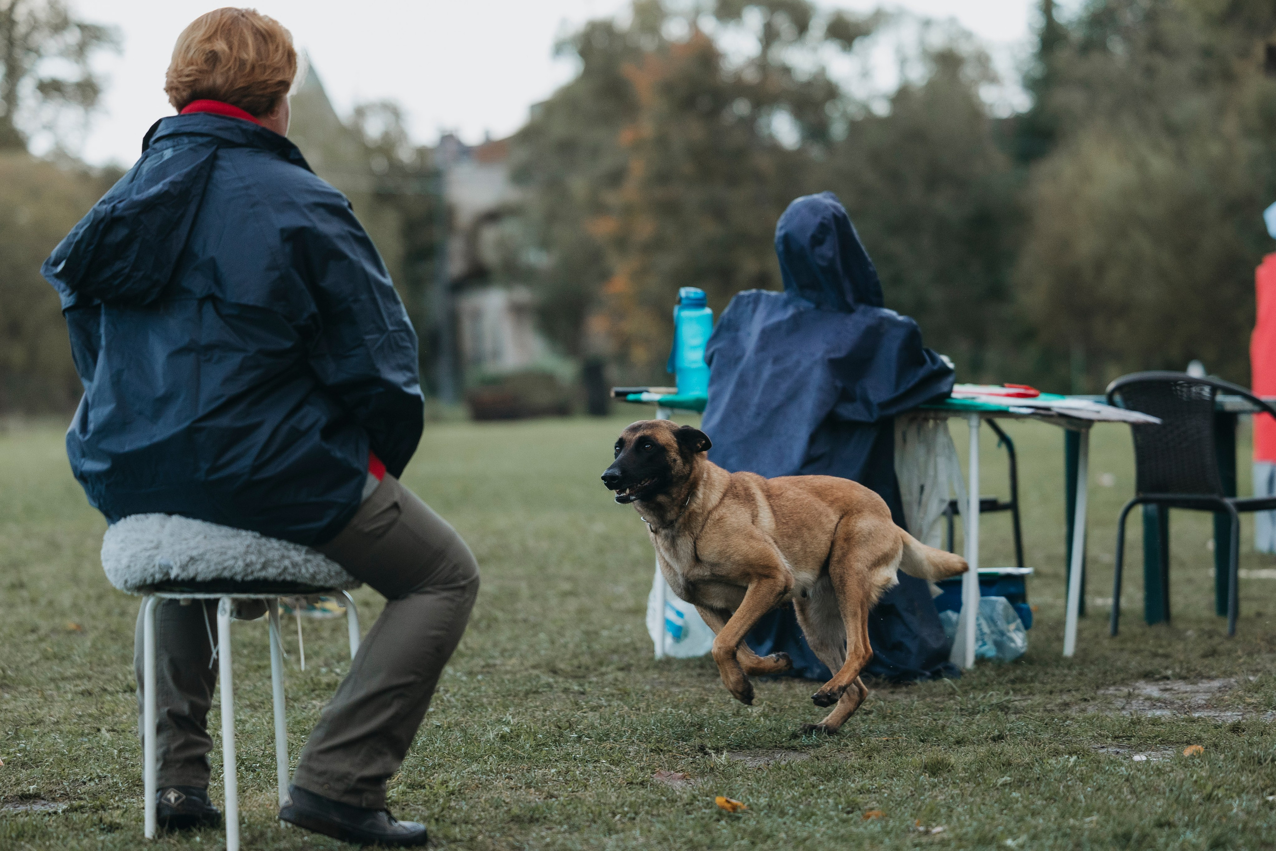 Испытания по мондьорингу г. Пушкин 29.09.2024. Фотограф-анималист Анна Маринич