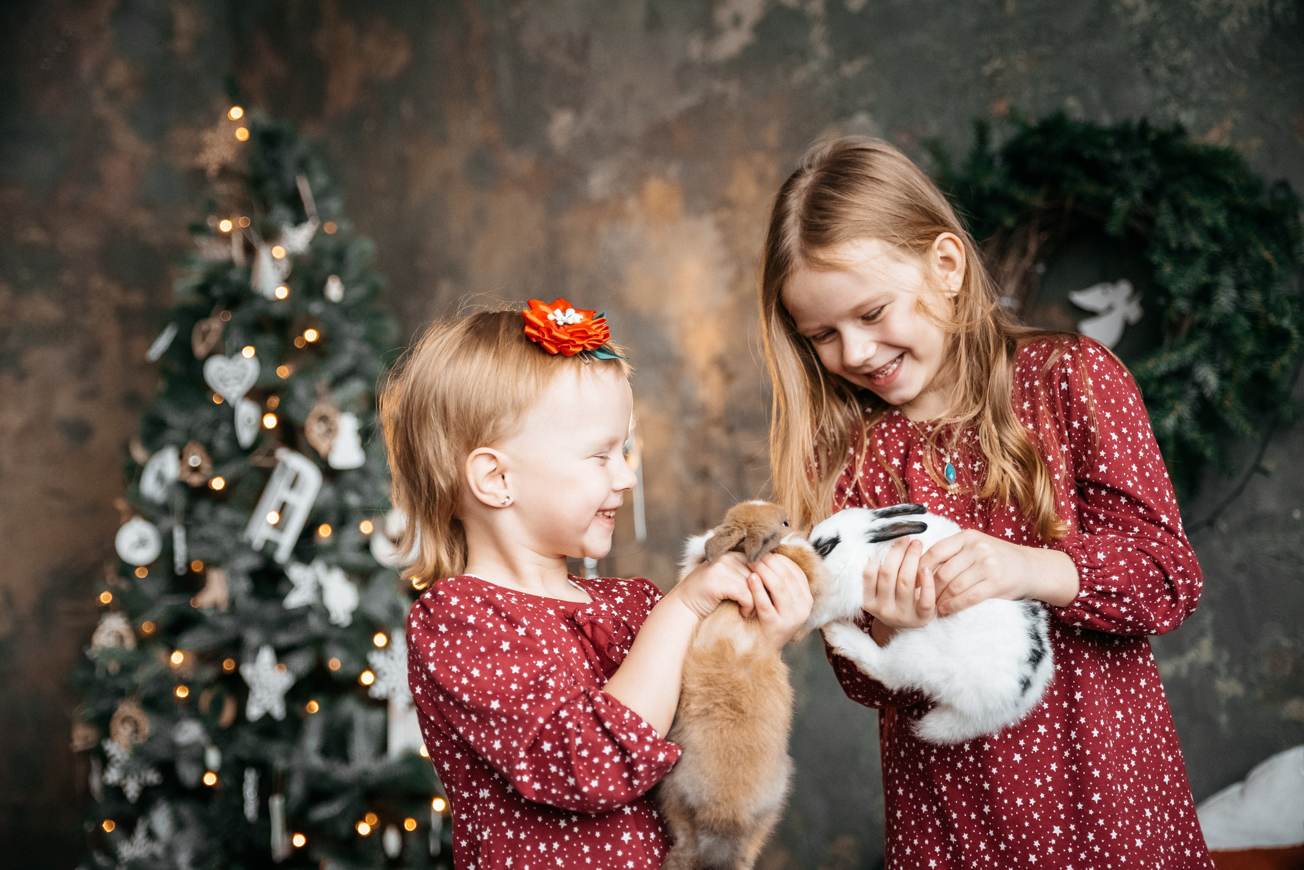 Новогодняя семейная фотосессия минск недорого