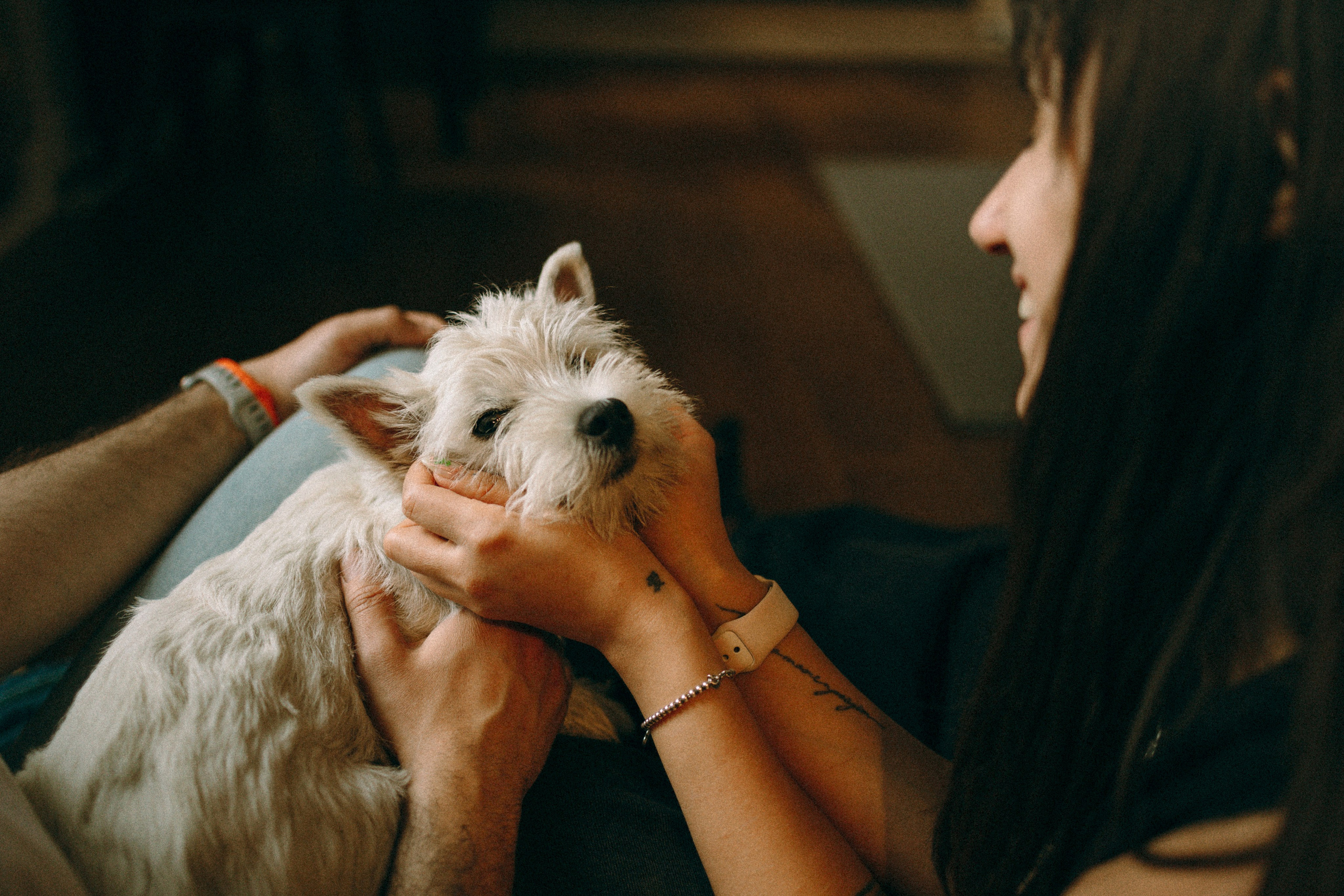 Снежуля, Мари и Саша. Фотограф анималист Анастасия Пикей