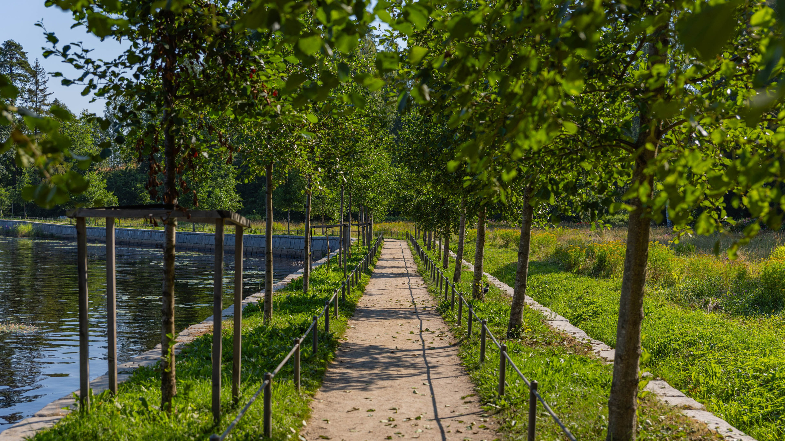 2025 07 Выборг — Сортавала — Великий Новгород — Псков. Фотографии