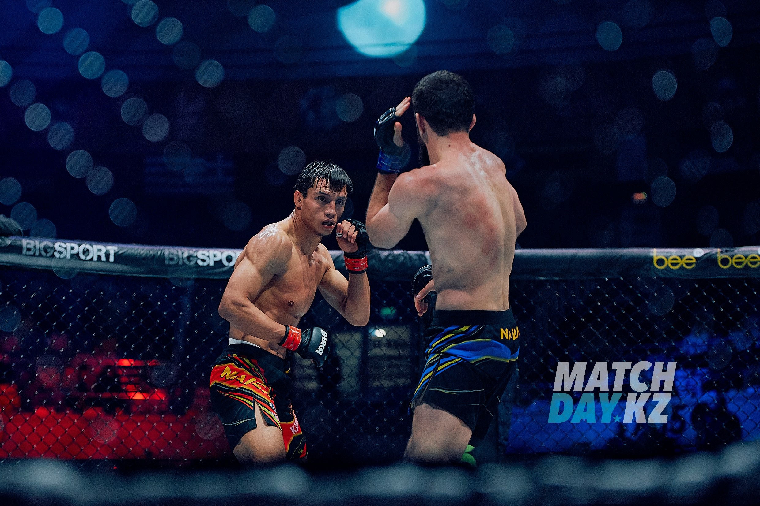 Naiza MMA (Astana) 6 December 2023. Professional photo & Event agency (Kazakhstan, Astana)