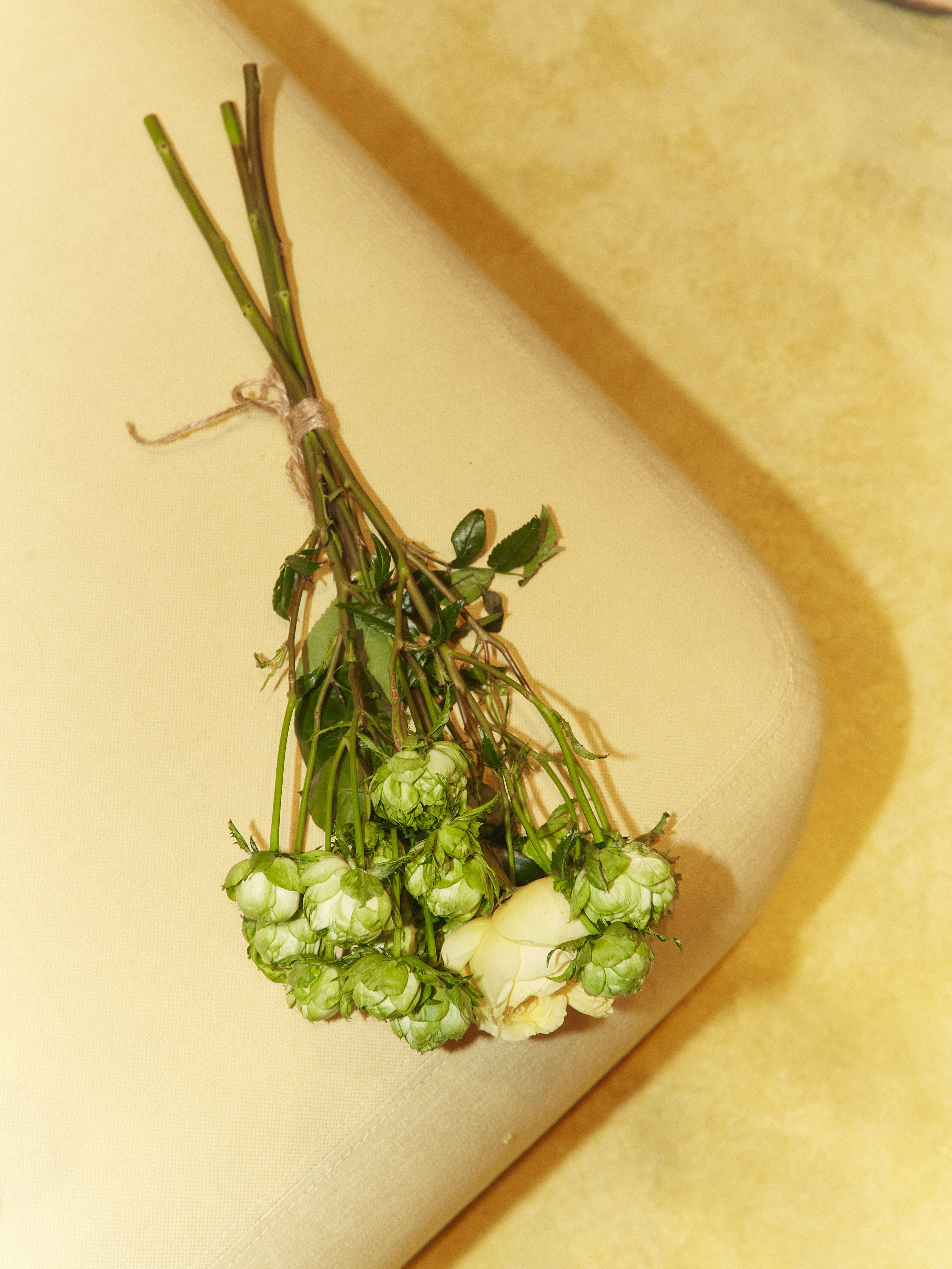 CHAIKA store opening in Tsvetnoy. Photographer Daria Ilkevich