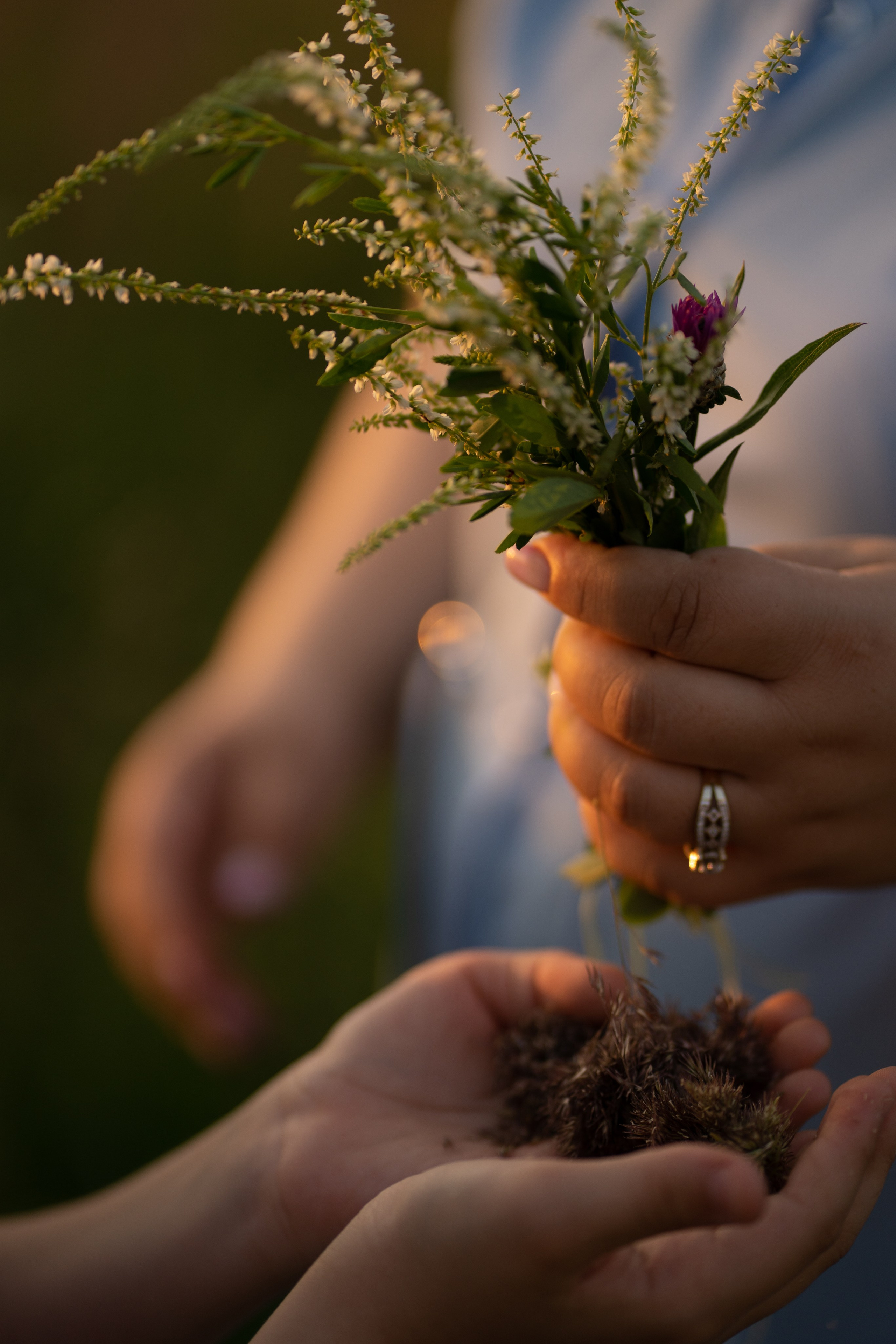 Семейная съемка для Кристины. Фотограф Катя Стрельцова