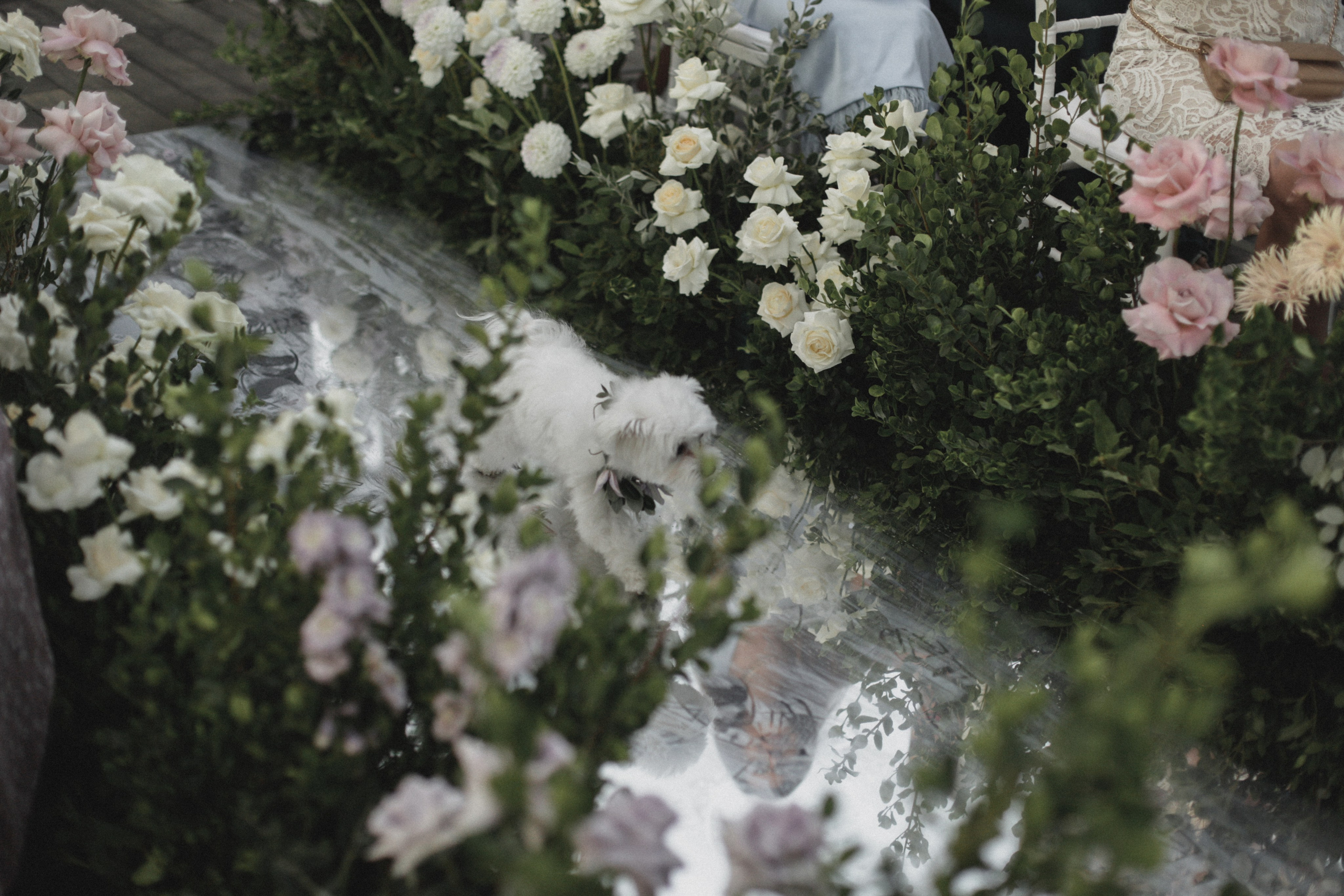 Свадьба в Паласе. Фотограф в Севастополе и Крыму Артем Волобуев