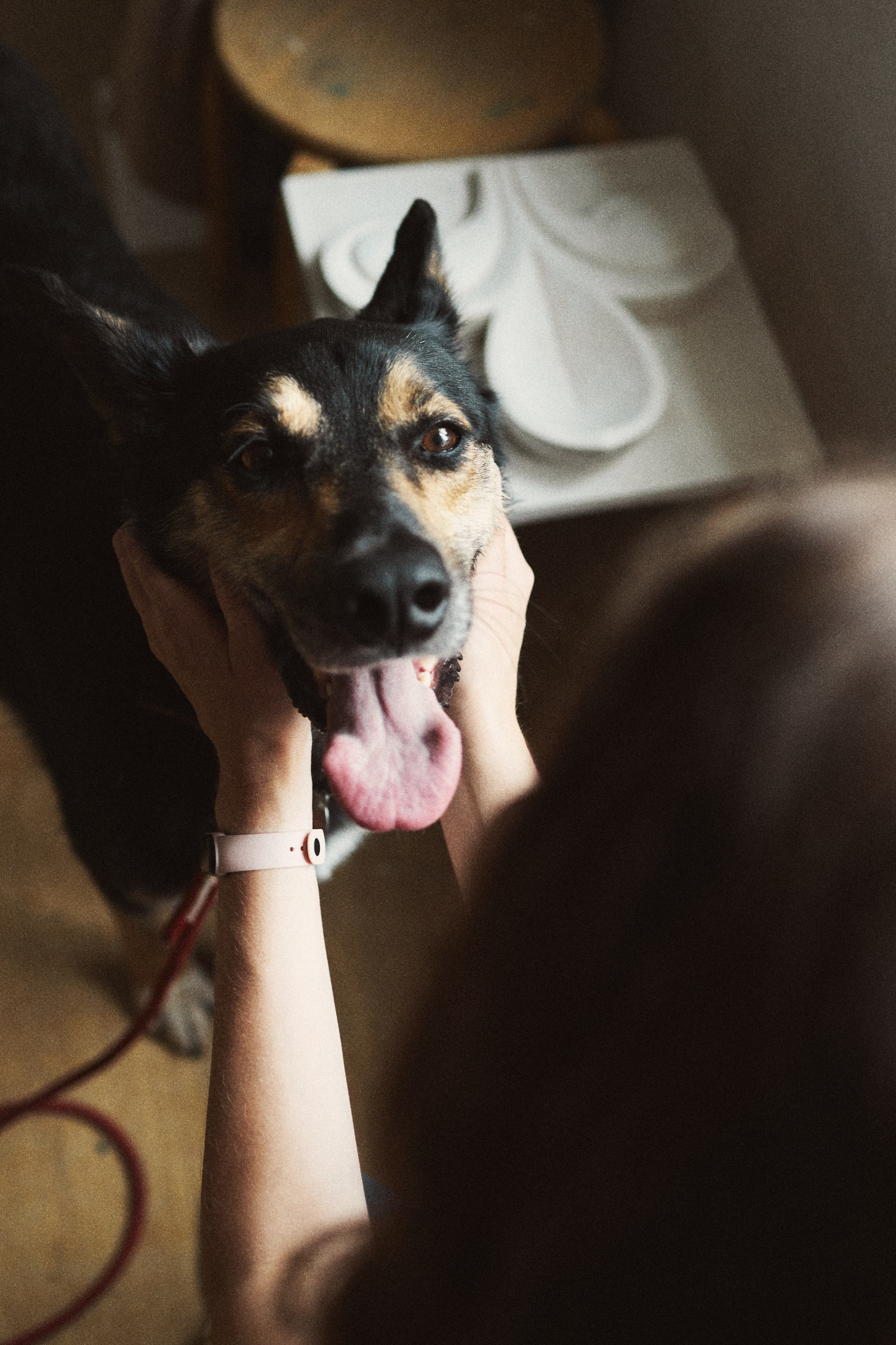 Валет в художественной мастерской