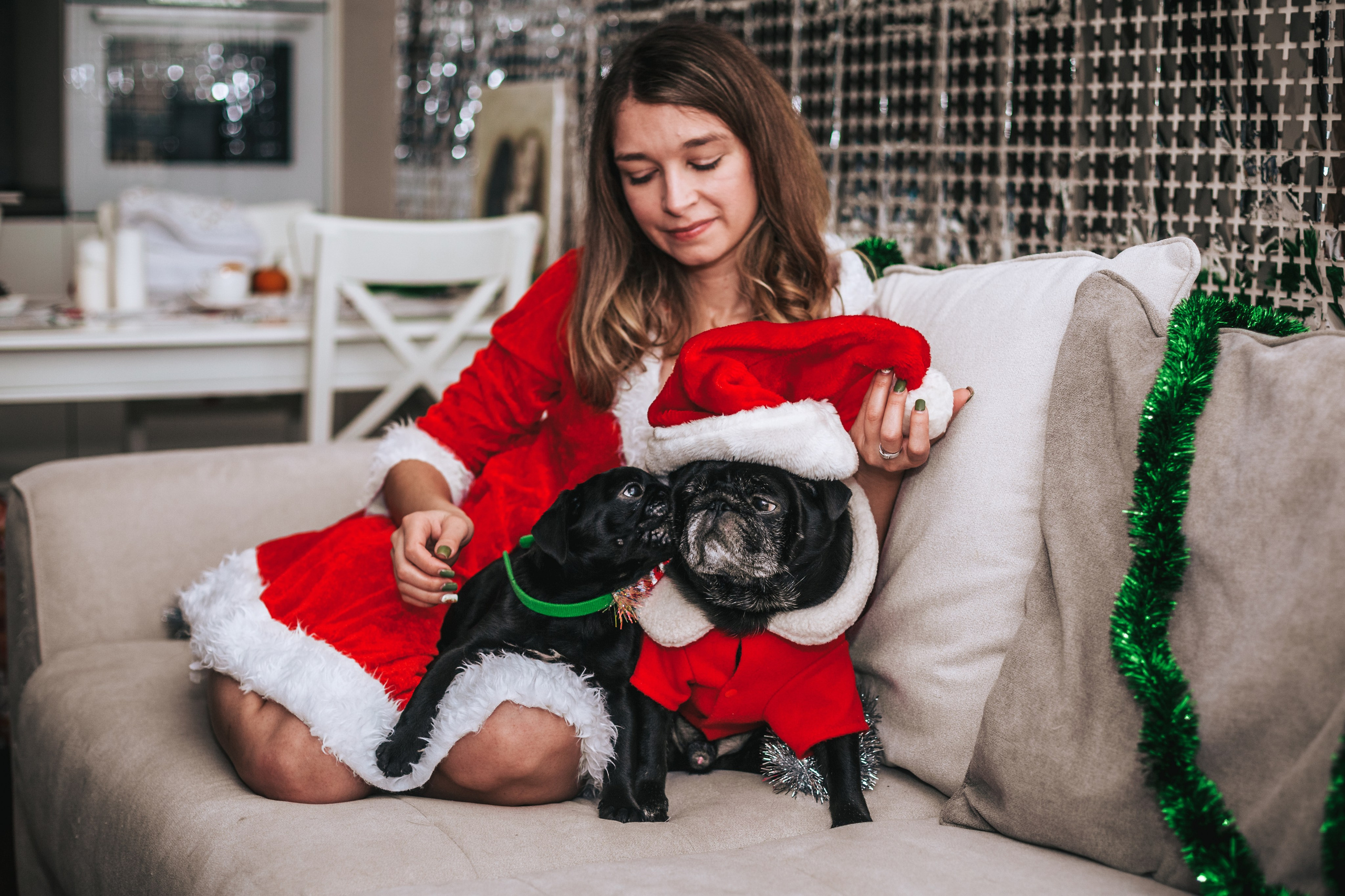 Домашняя фотосессия Оли и двух ее мопсов. Фотограф-анималист Татьяна Степанова
