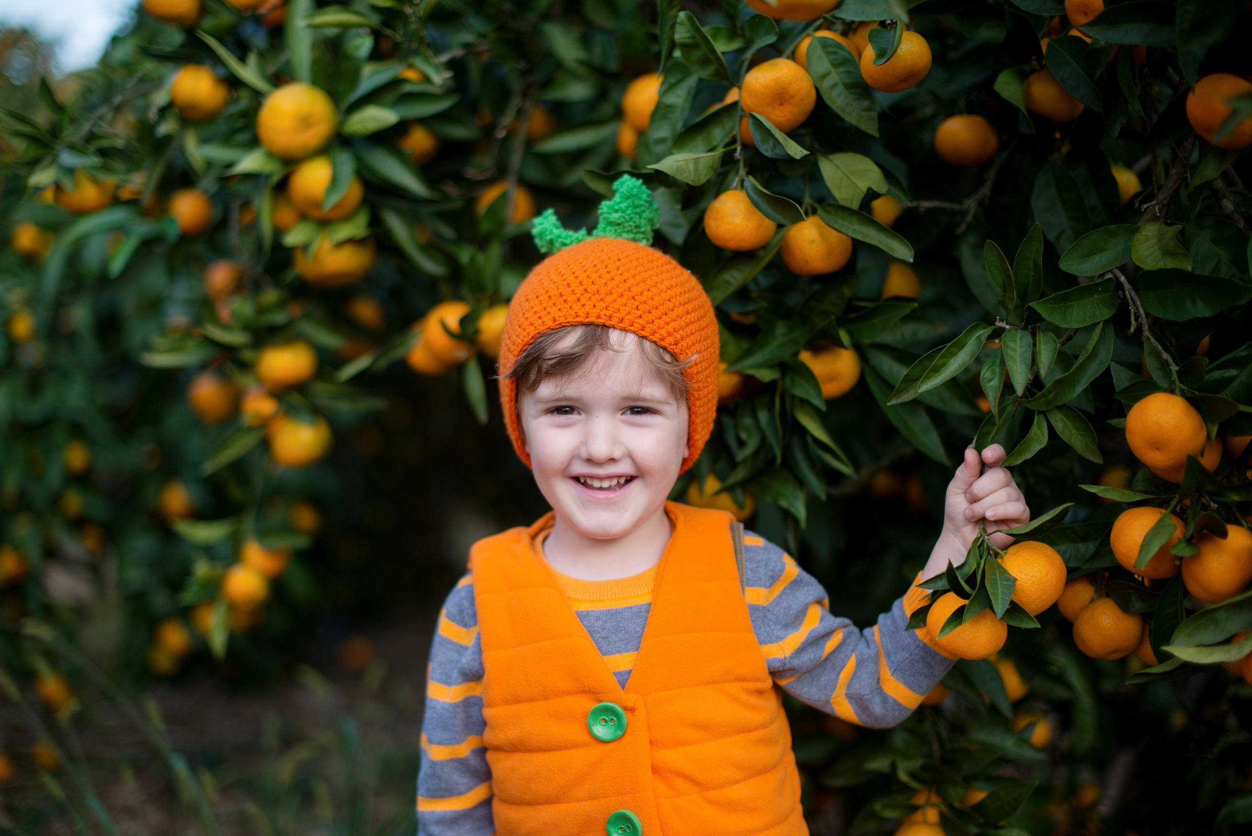 Мандарины. Детский и семейный фотограф в Абхазии