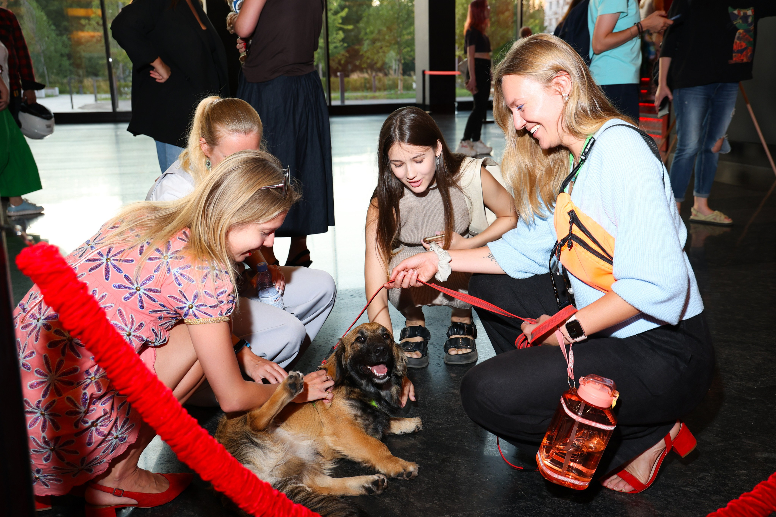 Премьера фильма «Хвостатый переполох». Свадебный и Event фотограф в Москве Бажина Ирина