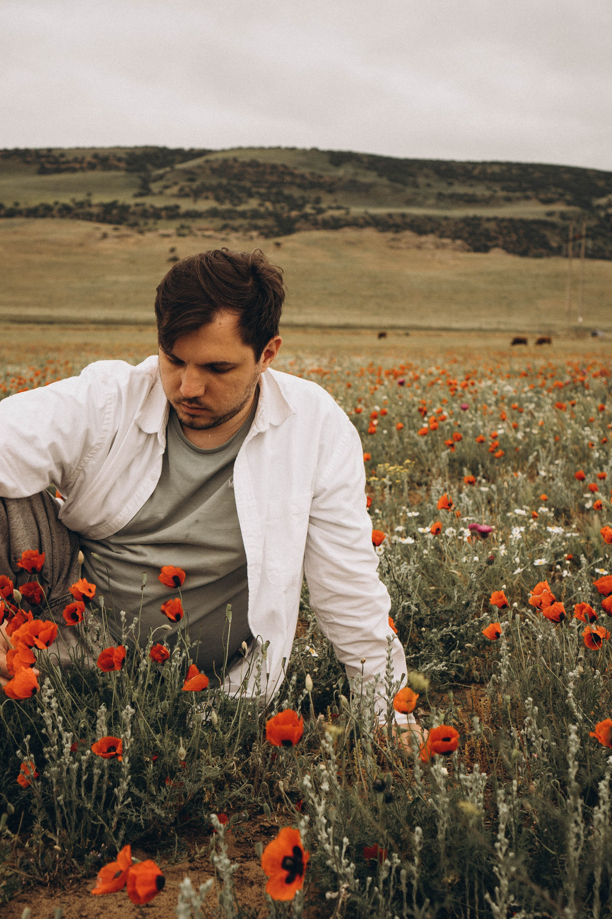 Маки. Профессиональный фотограф, Санкт-Петербург — Виктория Богомолова