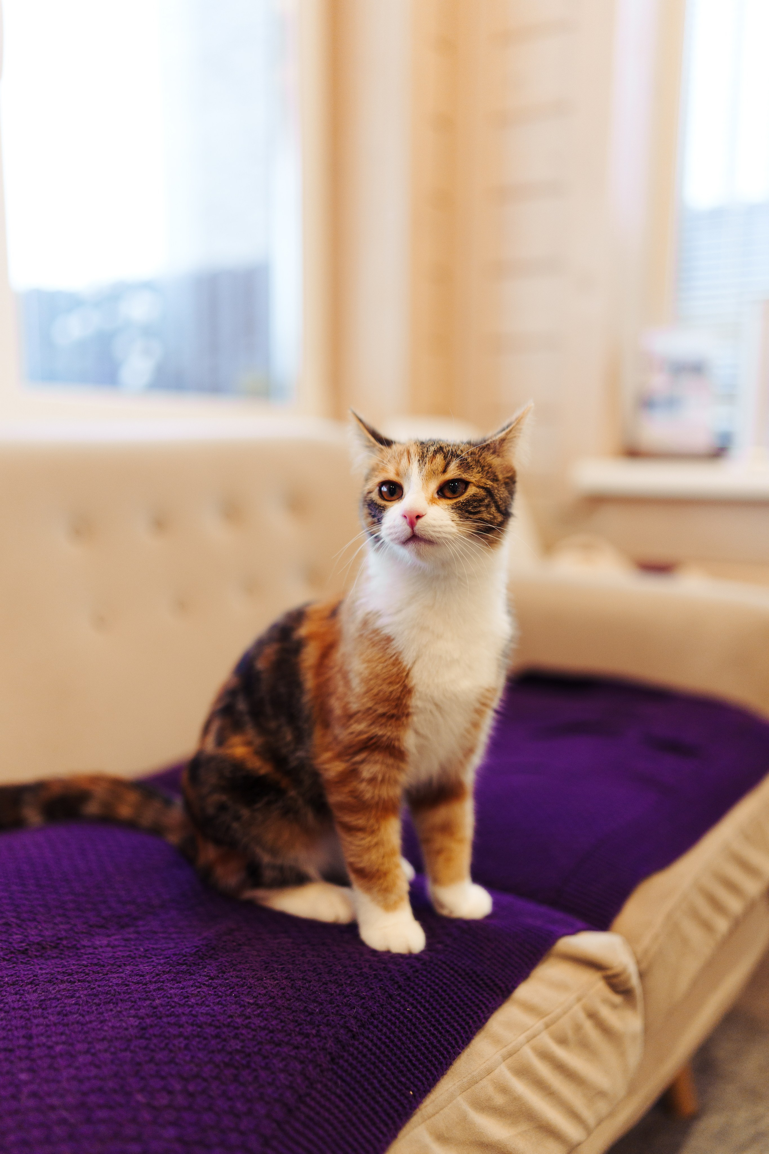 Corner Kaltino by Unistroy. Фотограф в СПБ Алмаз Камаев