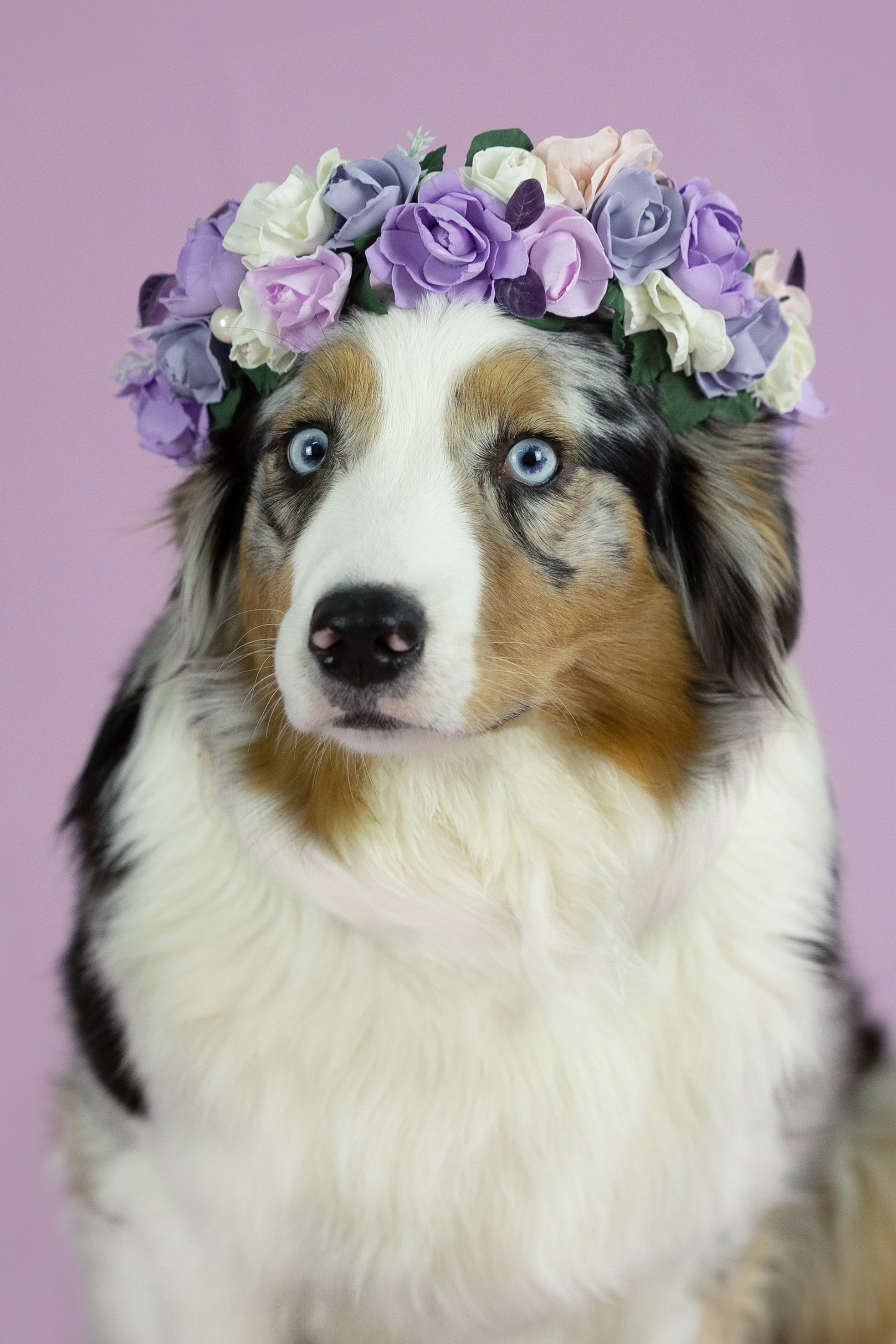 Студия. Главная