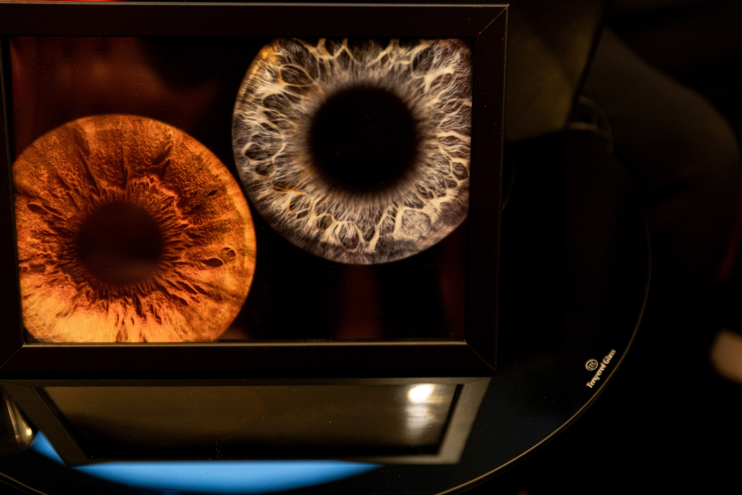 Белая полоса начинается. Душевный фотограф Ваших самых ярких событий Марина Погребняк