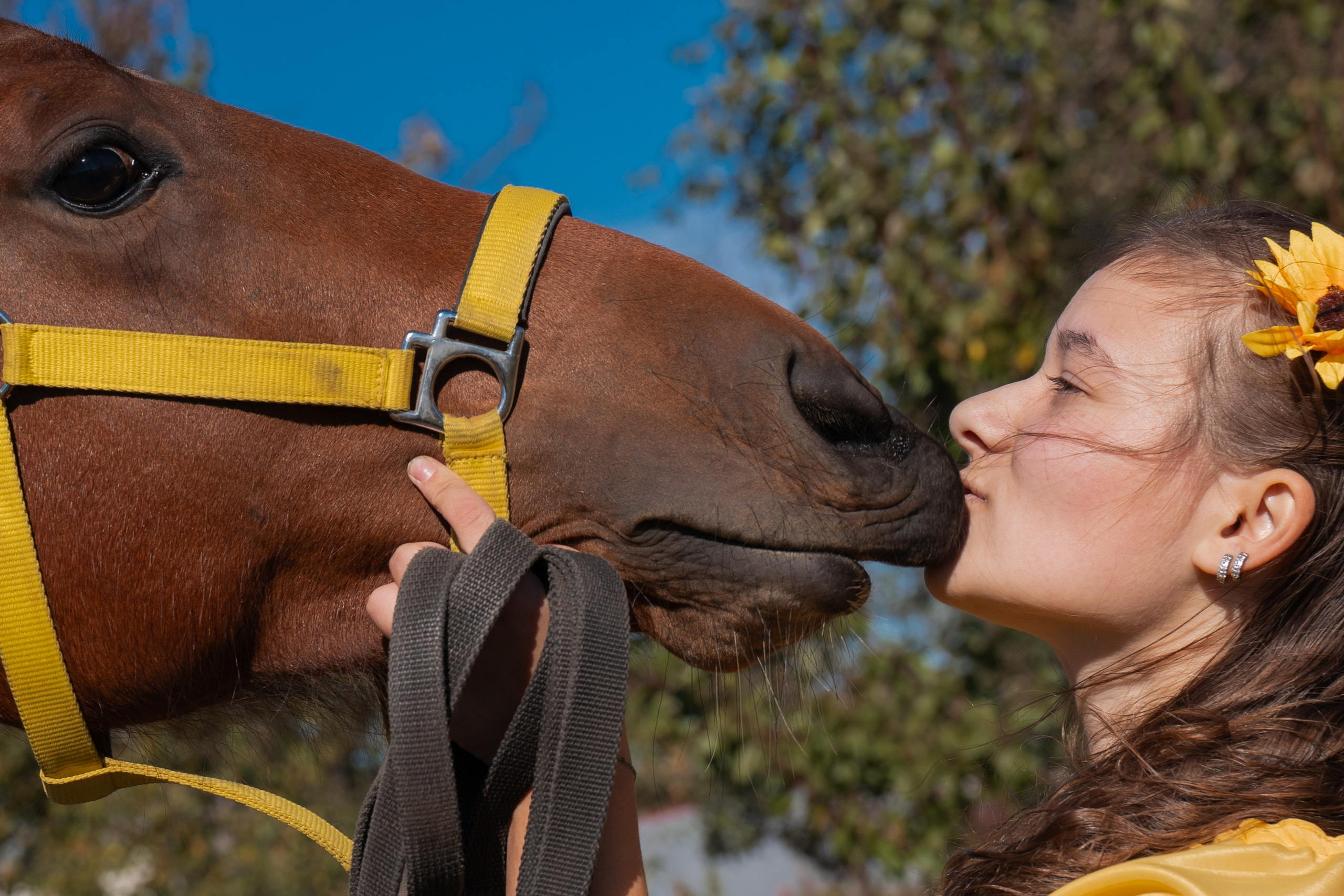 Фотосессия с лошадьми