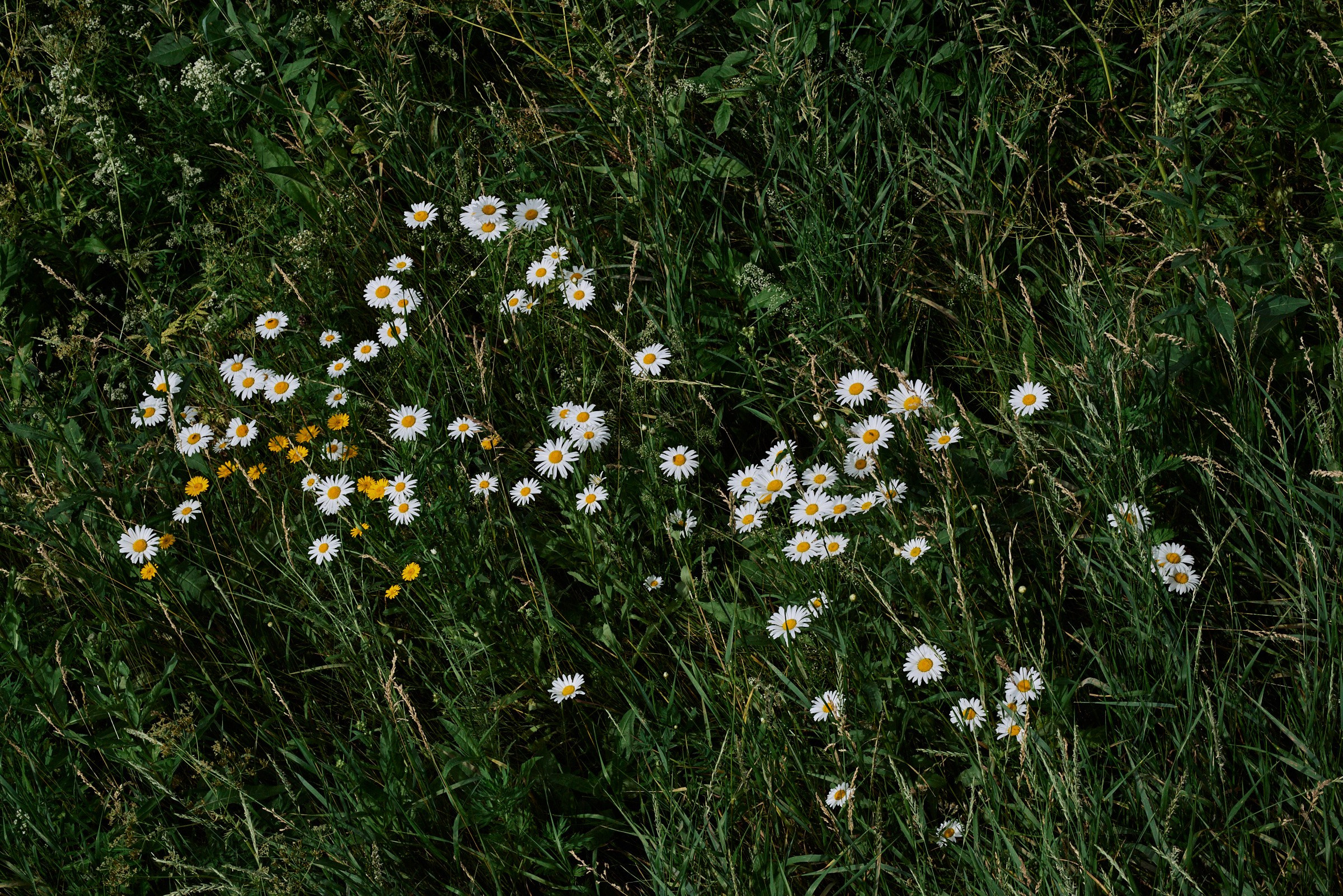 Кстово. Маляревич Дмитрий свадебный фотограф